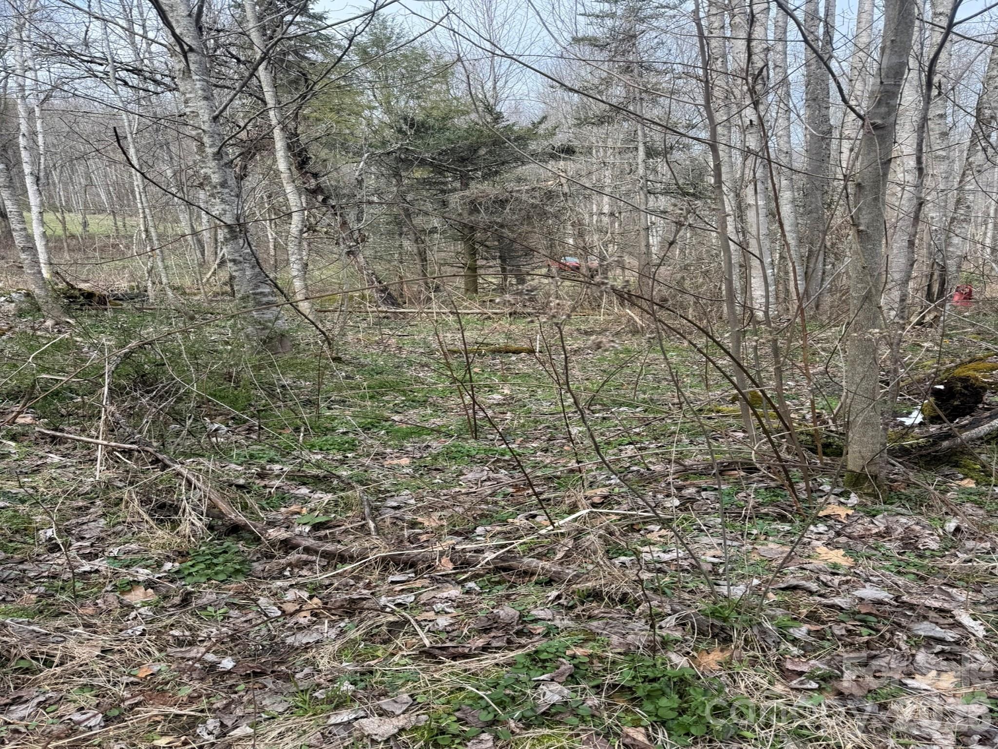 Tbd 1.2 Acres Jass Cove Road Property Photo 7