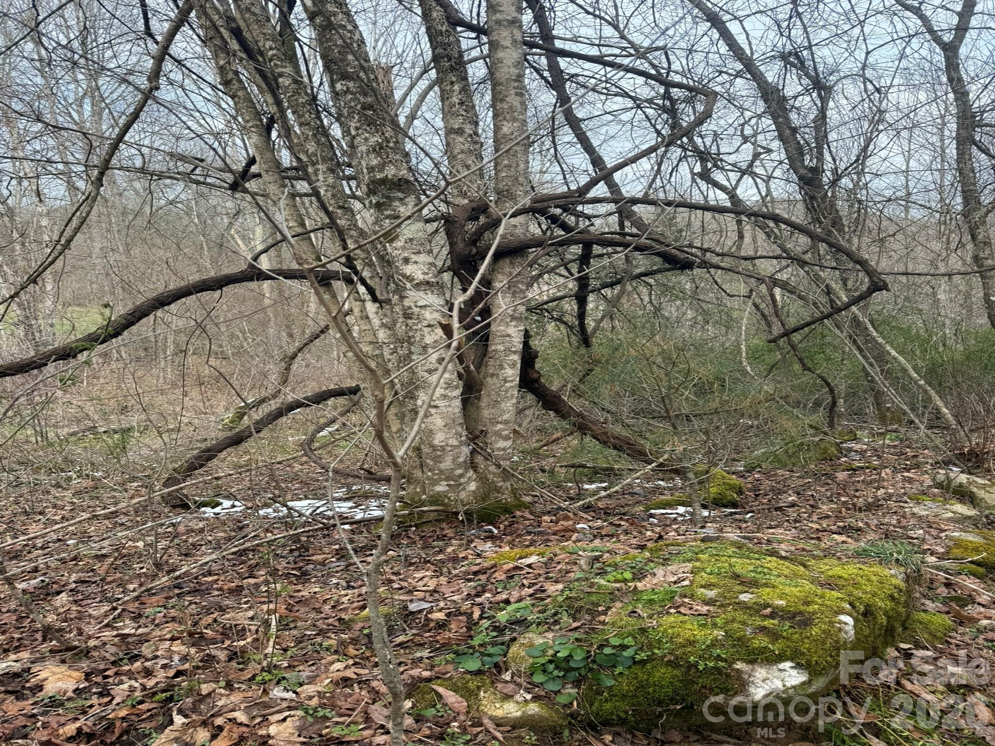Tbd 1.2 Acres Jass Cove Road Property Photo 8