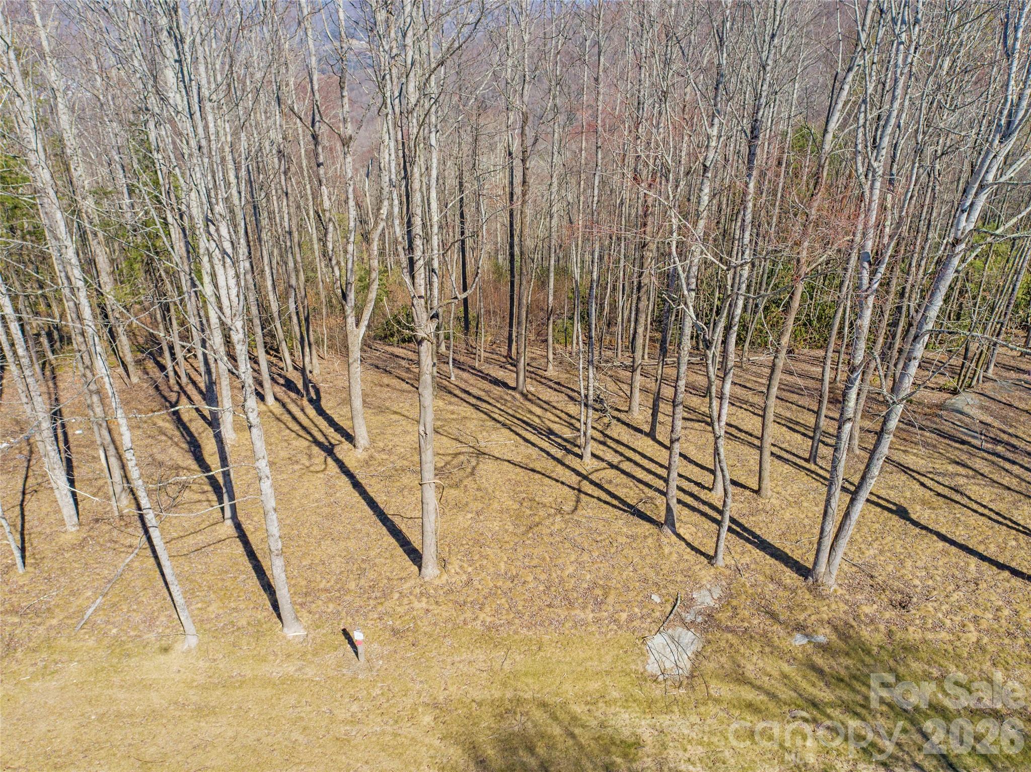 0 East Garden Trail 16 Property Photo 6