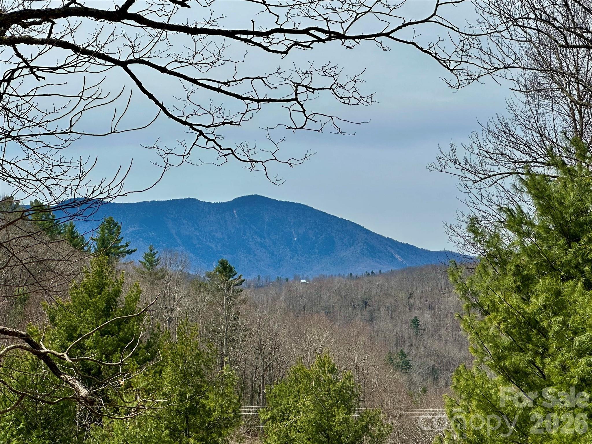 65 Blue Ridge Gem Mine Road Property Photo 1