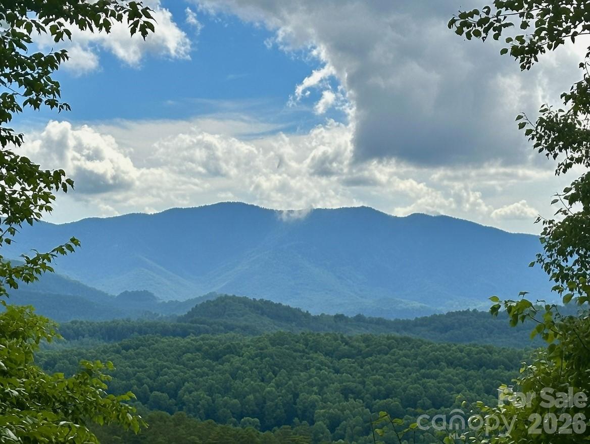 65 Blue Ridge Gem Mine Road Property Photo 2