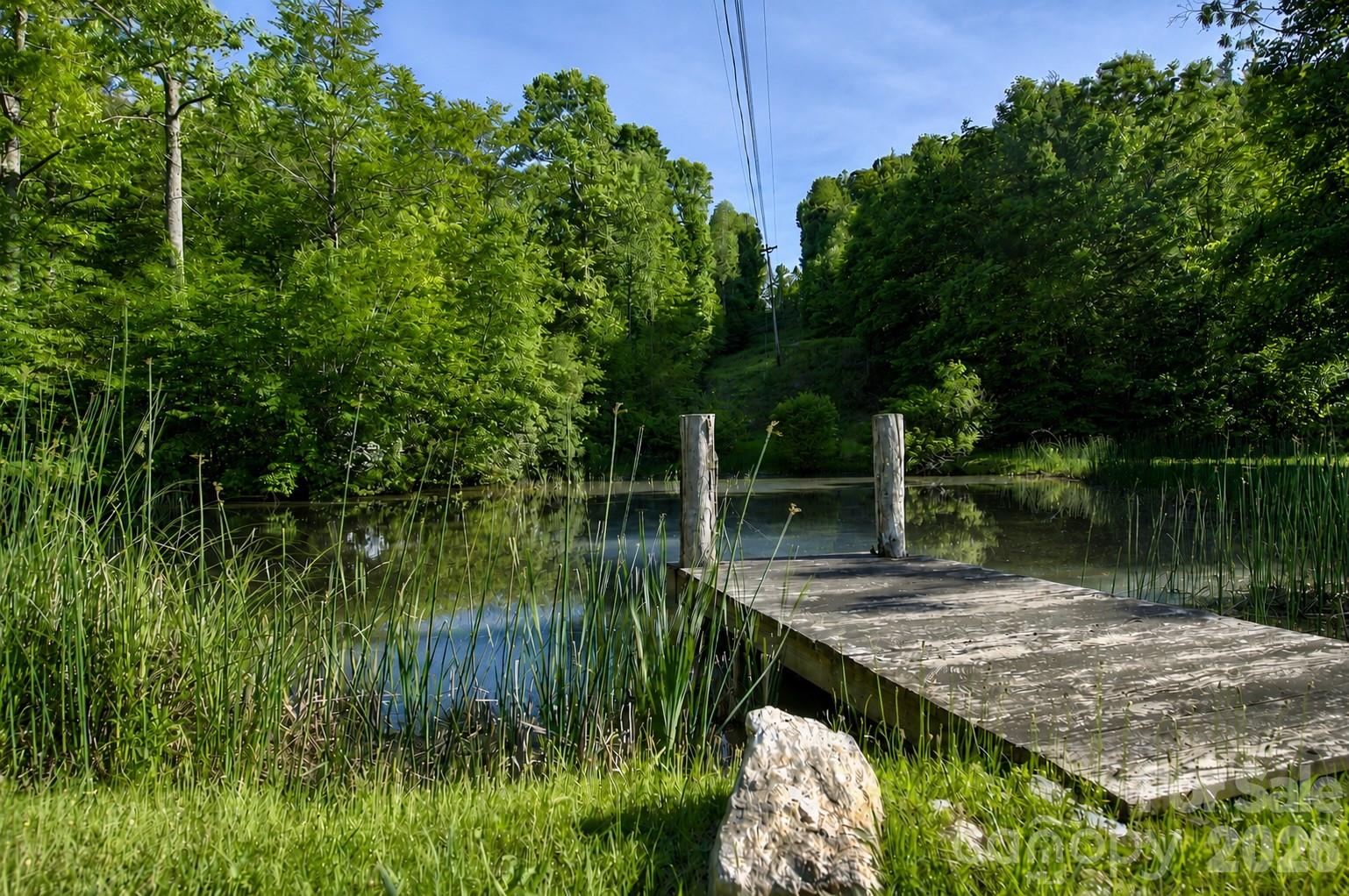 65 Blue Ridge Gem Mine Road Property Photo 6