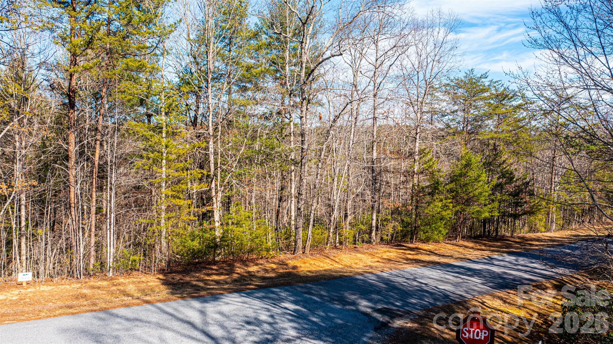 4420 Walnut Ridge Drive Property Photo 7