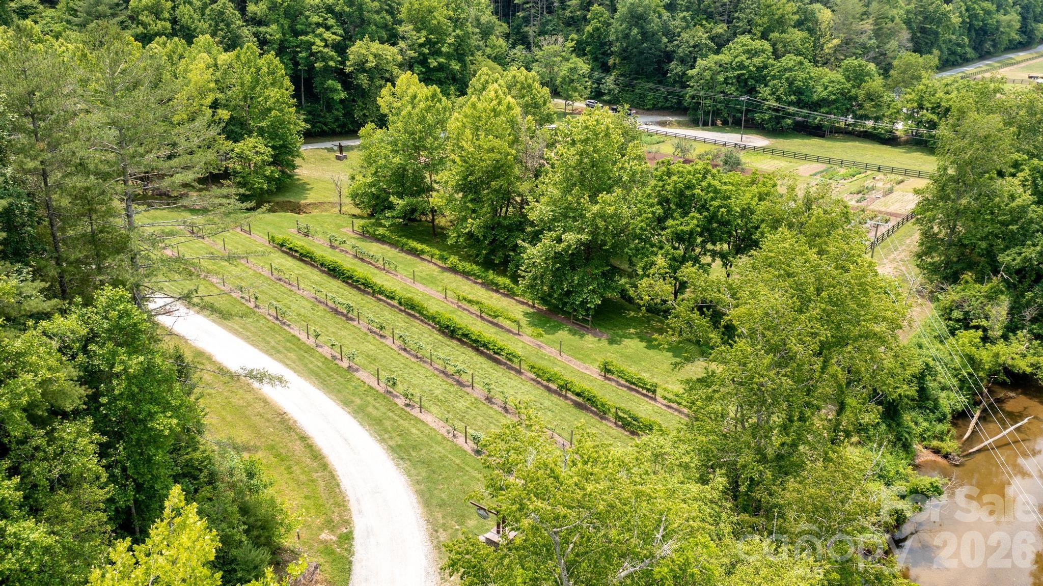 4420 Walnut Ridge Drive Property Photo 18