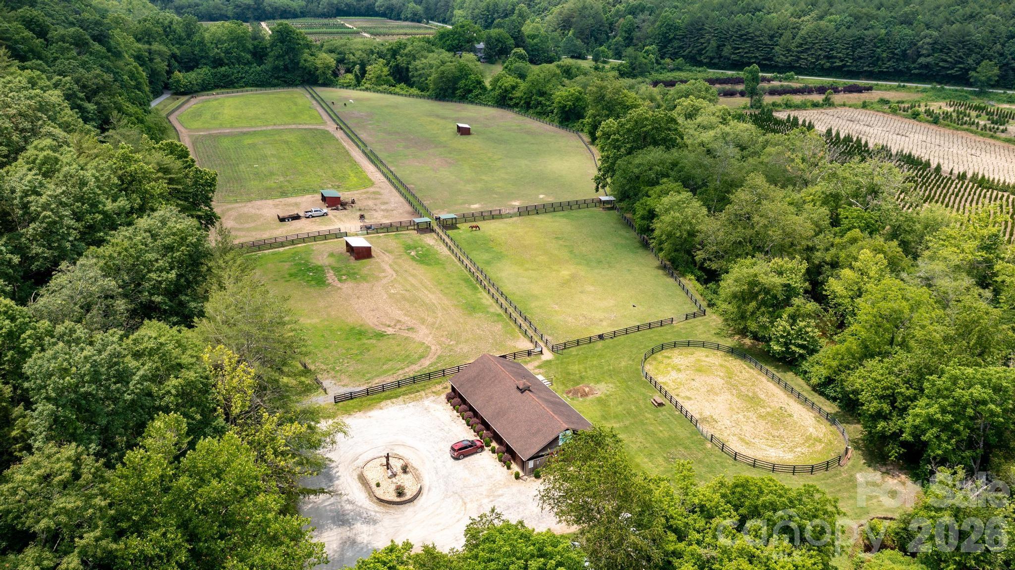 4420 Walnut Ridge Drive Property Photo 22