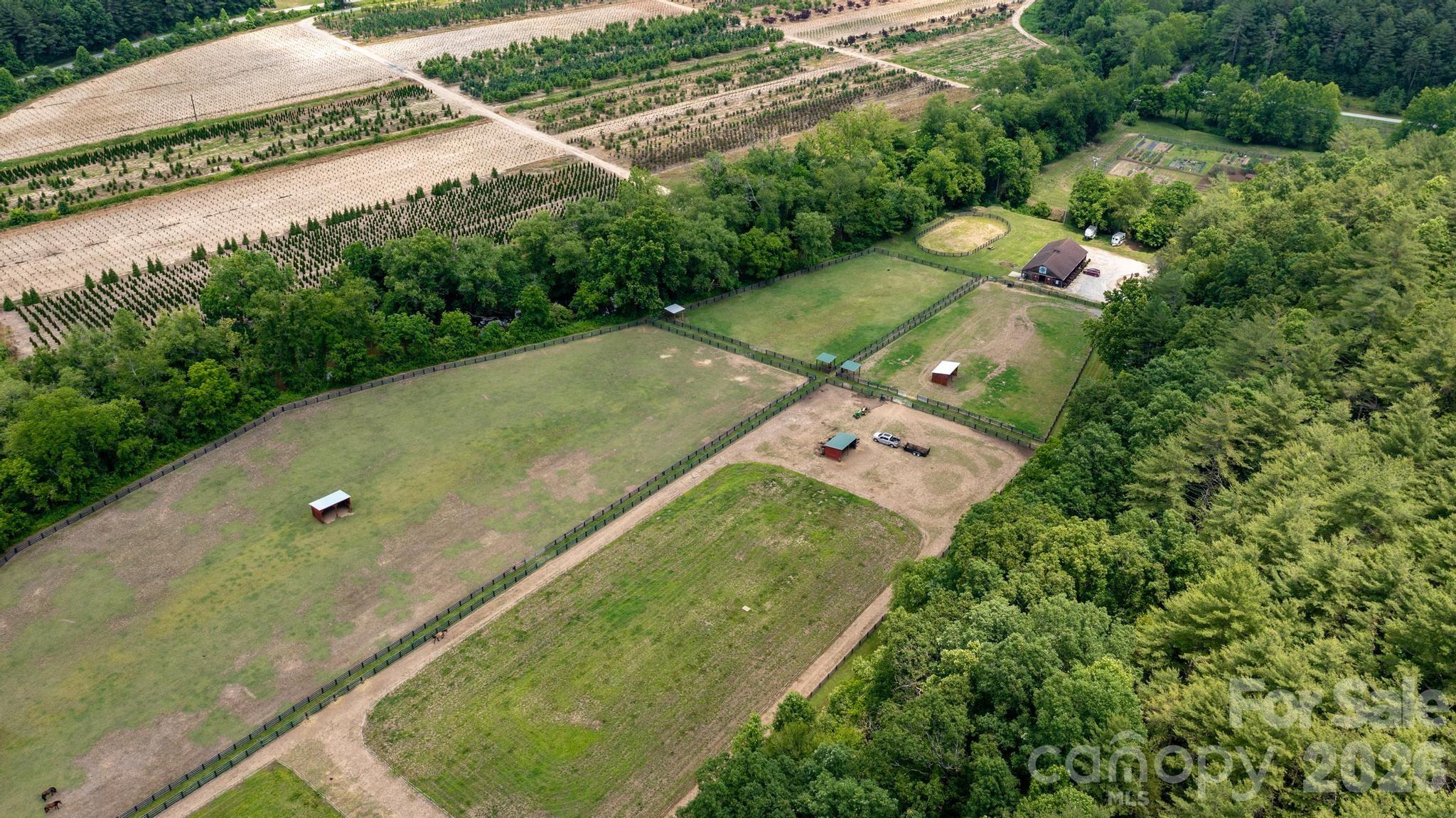 4420 Walnut Ridge Drive Property Photo 28