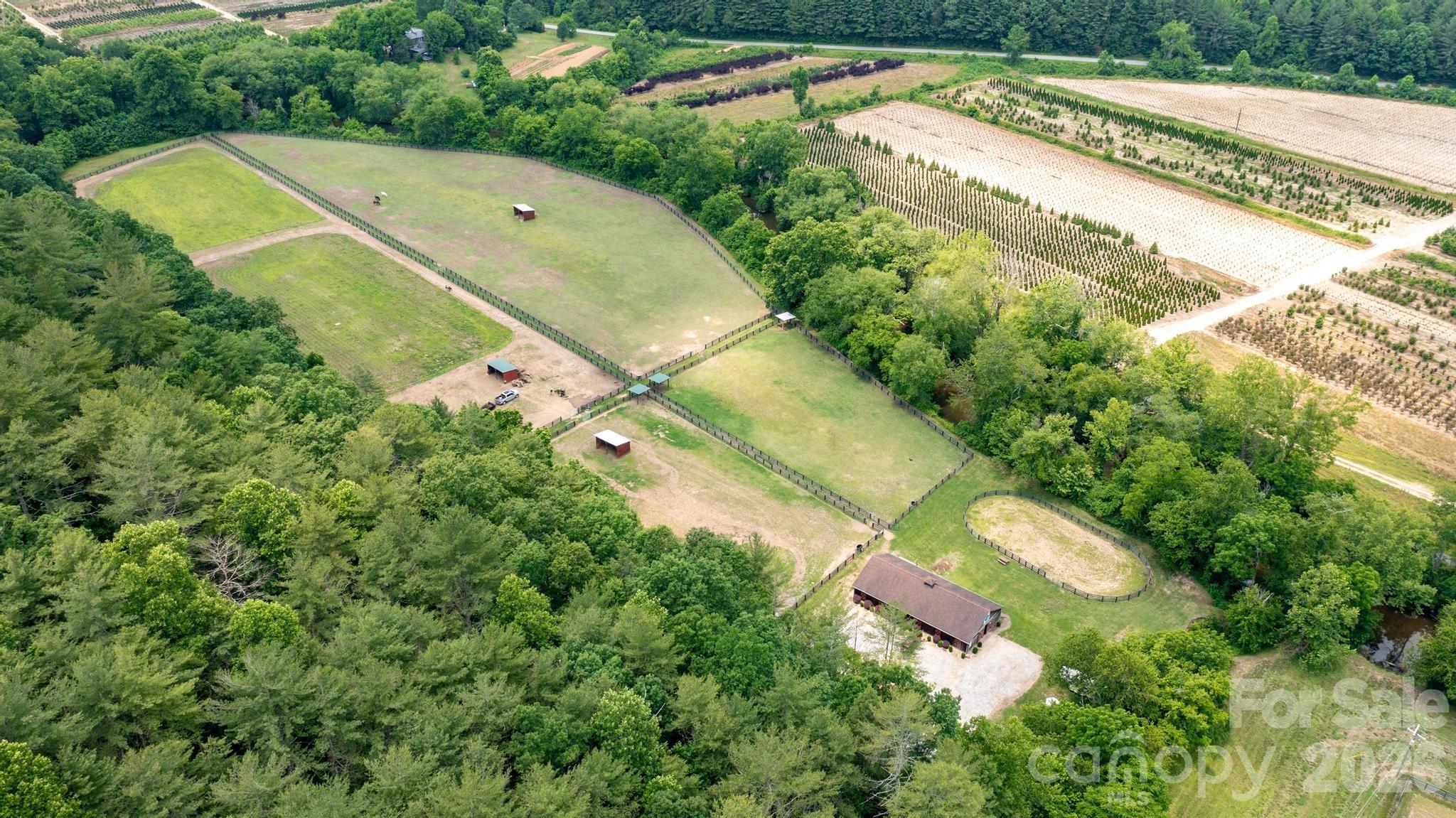 4420 Walnut Ridge Drive Property Photo 30