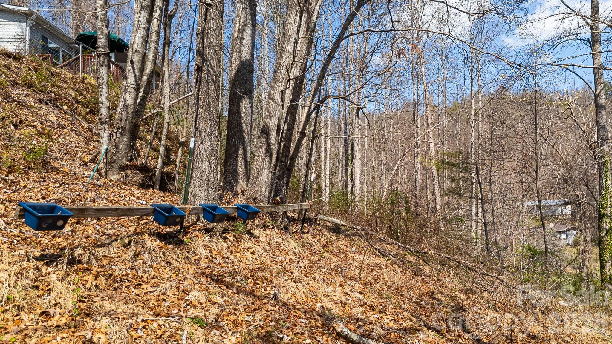 403 Youngs Gap Road Property Photo 35