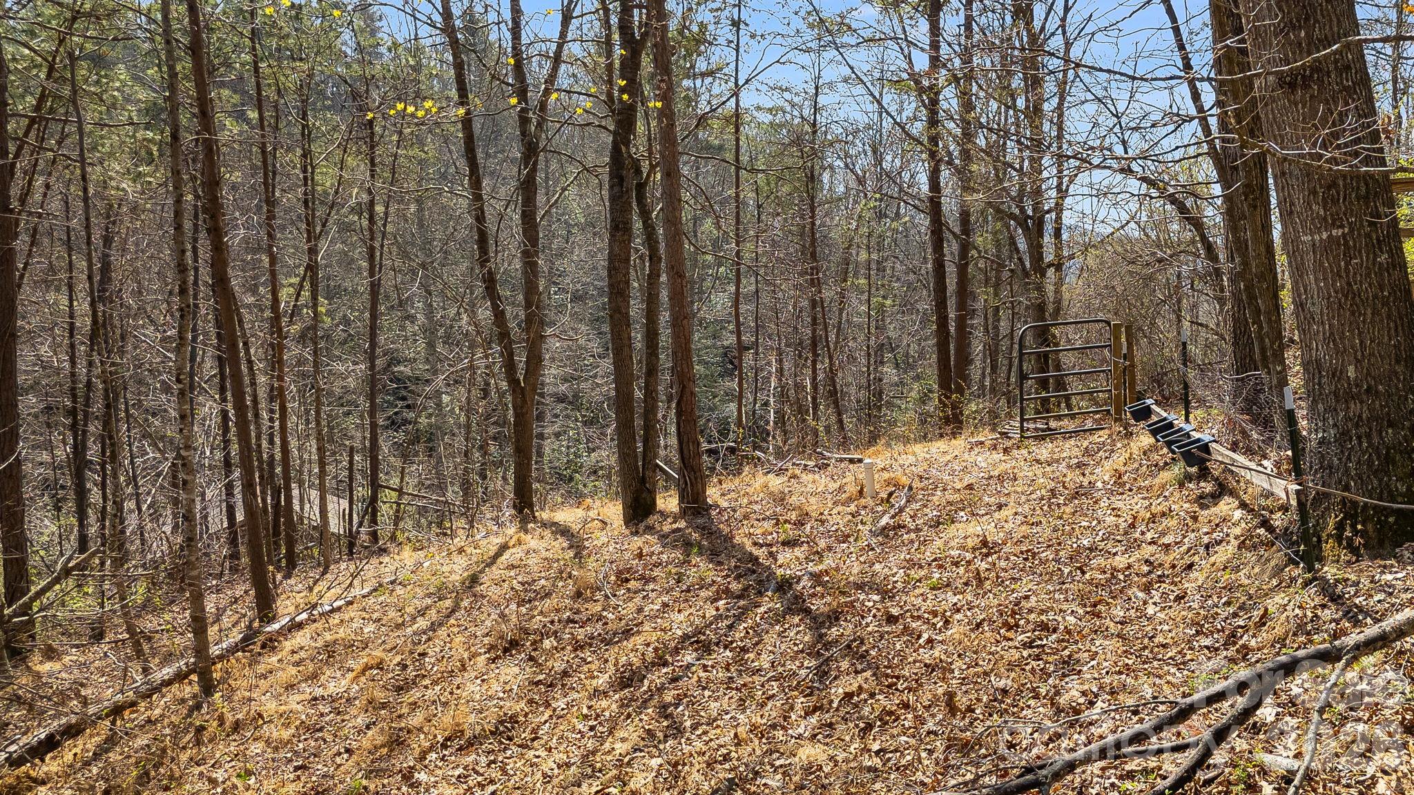 403 Youngs Gap Road Property Photo 36