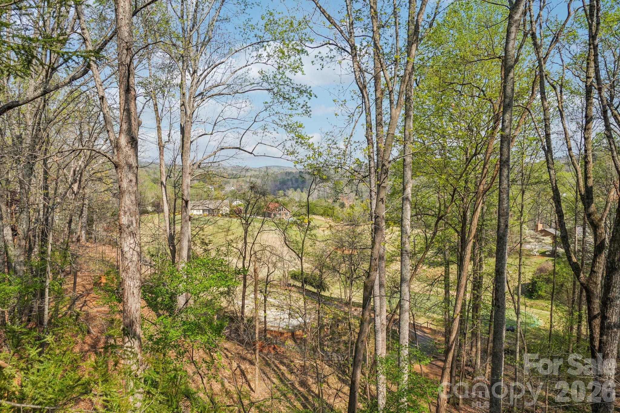 409 Whitney Boulevard Property Photo 23