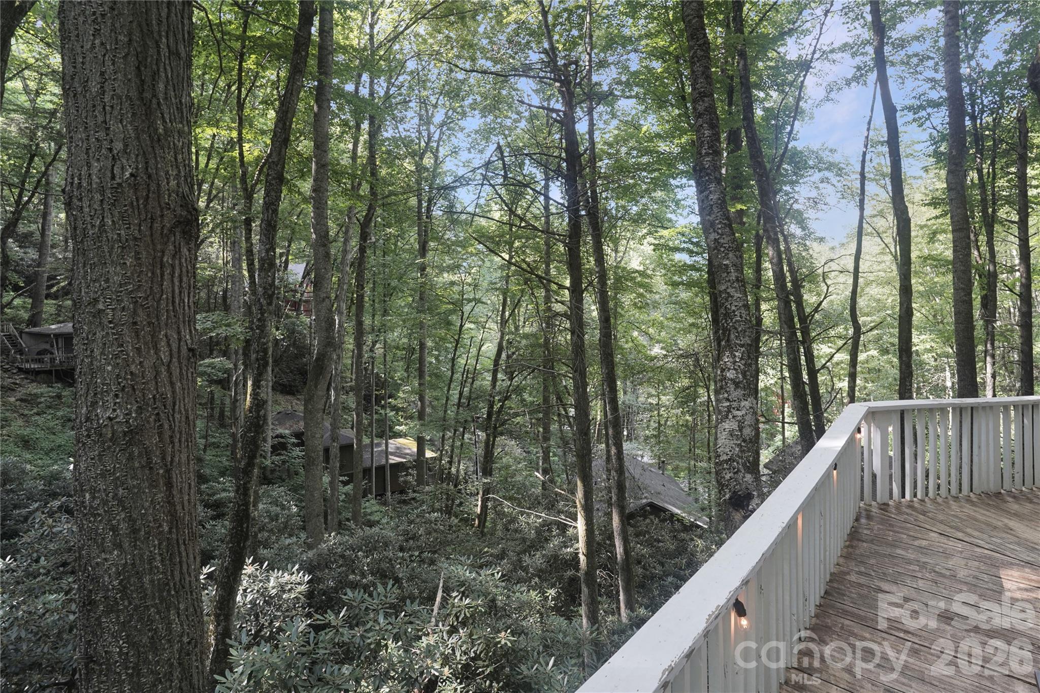 560 Laurel Ridge Road Property Photo 22