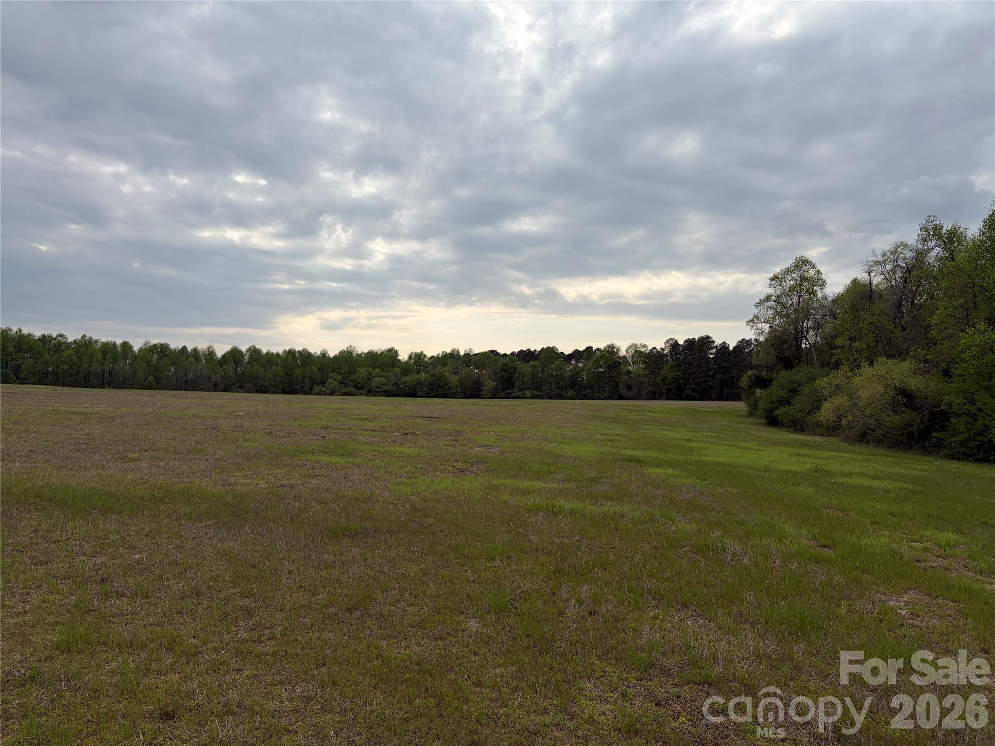 00 Robinson Bridge Road Property Photo 7
