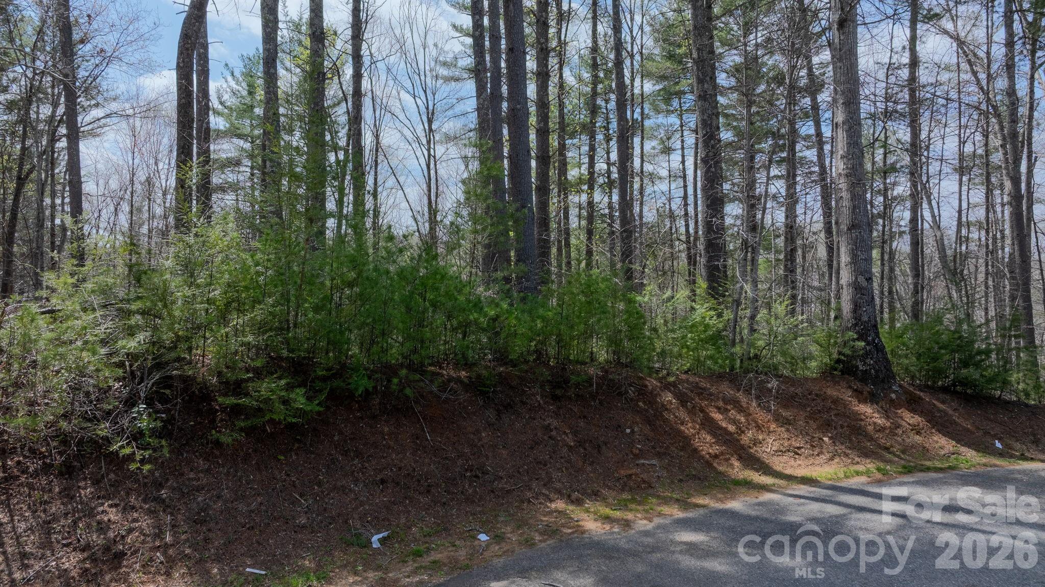 503 Larkhaven Drive Property Photo 4