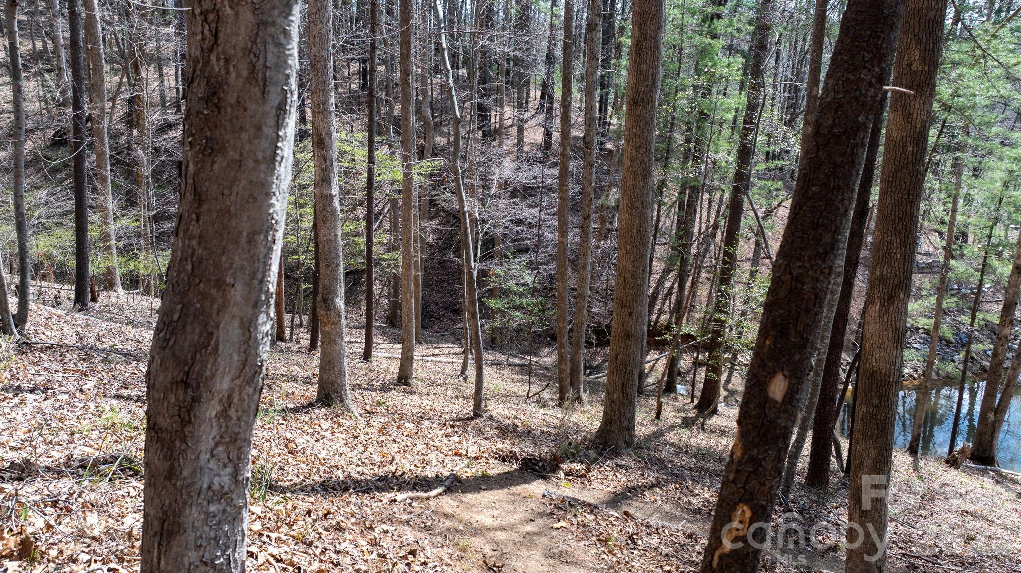 503 Larkhaven Drive Property Photo 15