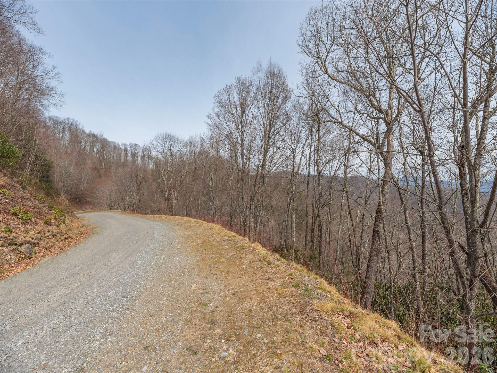 0000 Sigogglin Trail 4 Property Photo 1