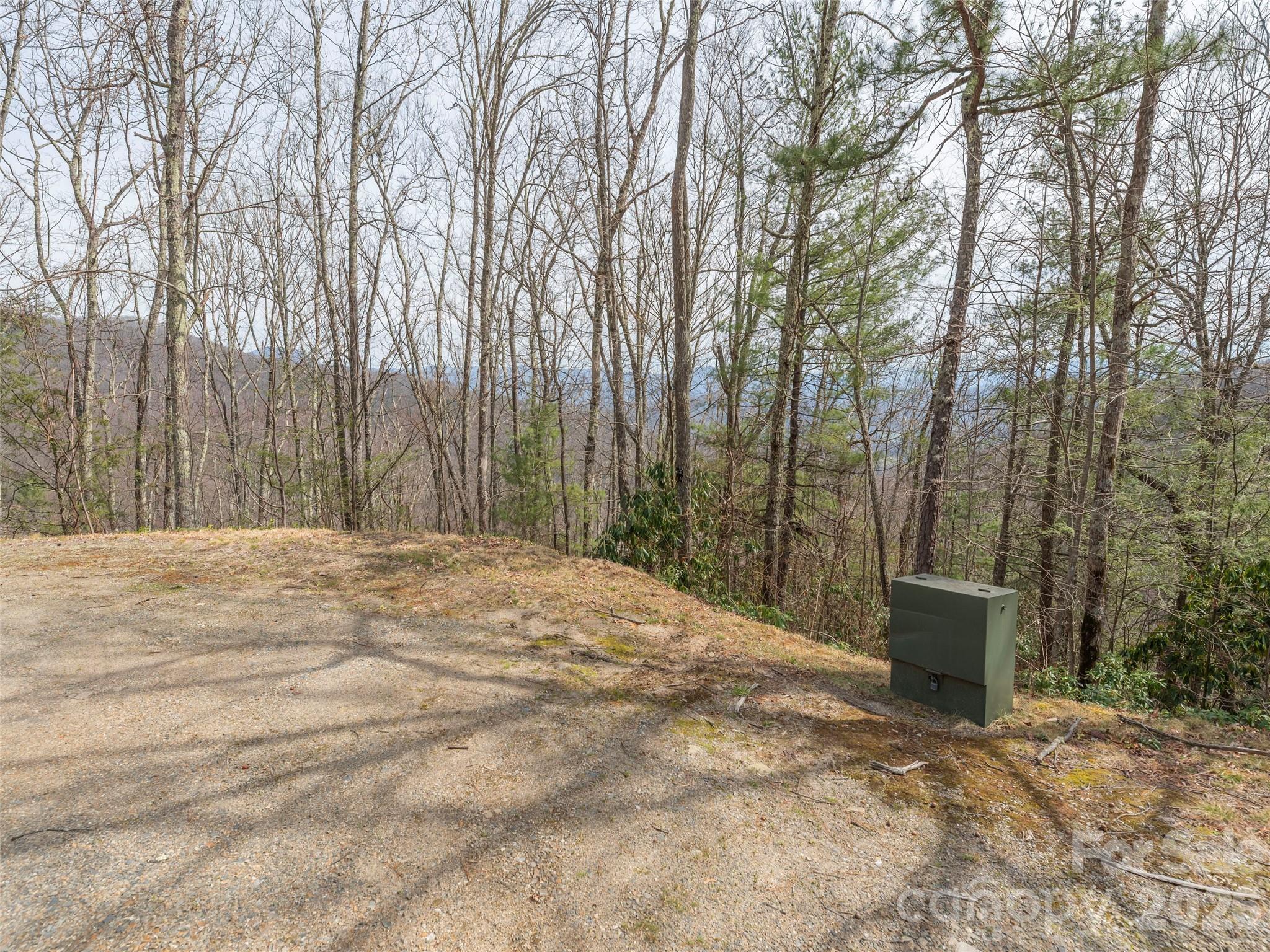 0000 Sigogglin Trail 4 Property Photo 3