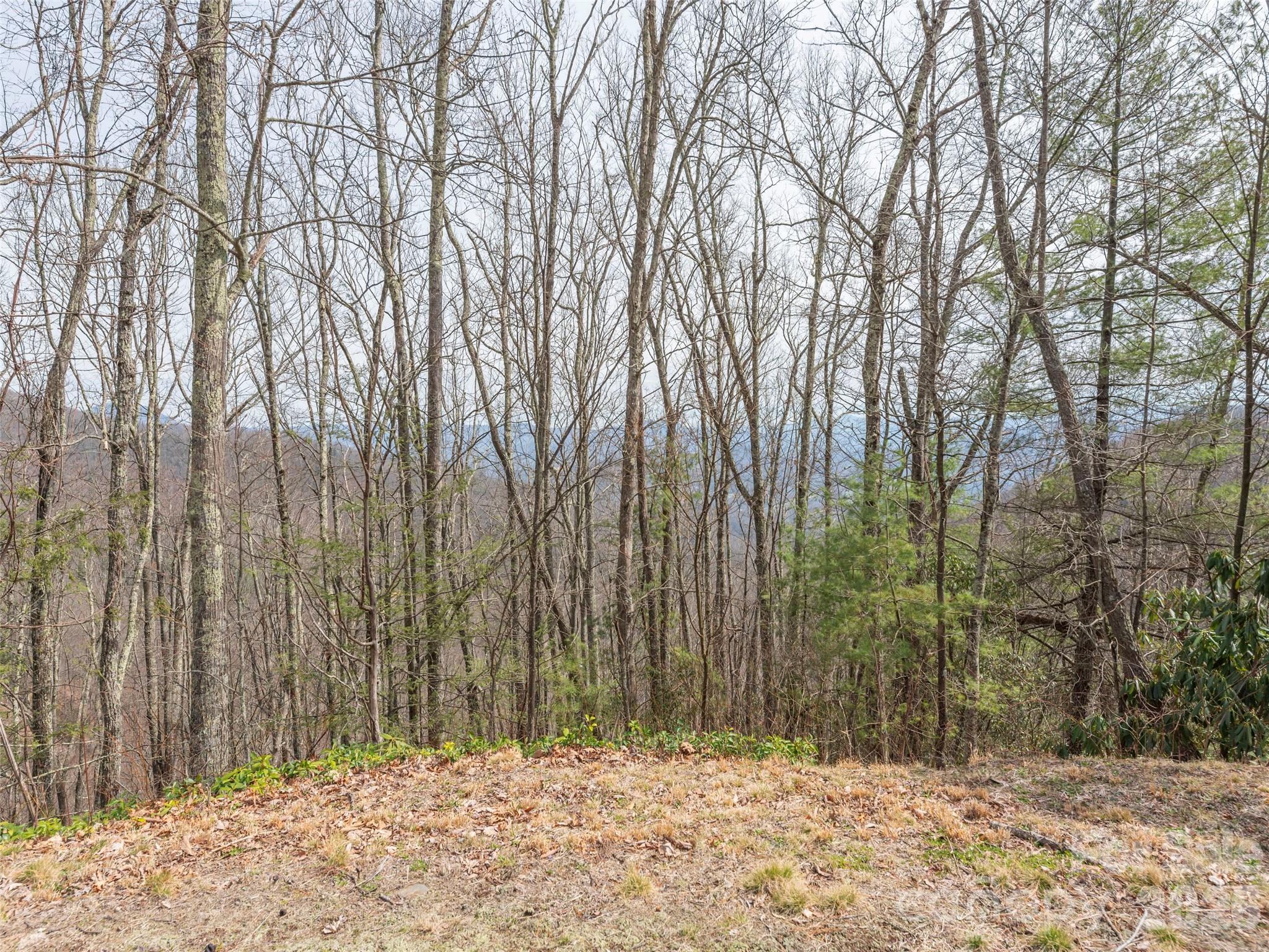 0000 Sigogglin Trail 4 Property Photo 4