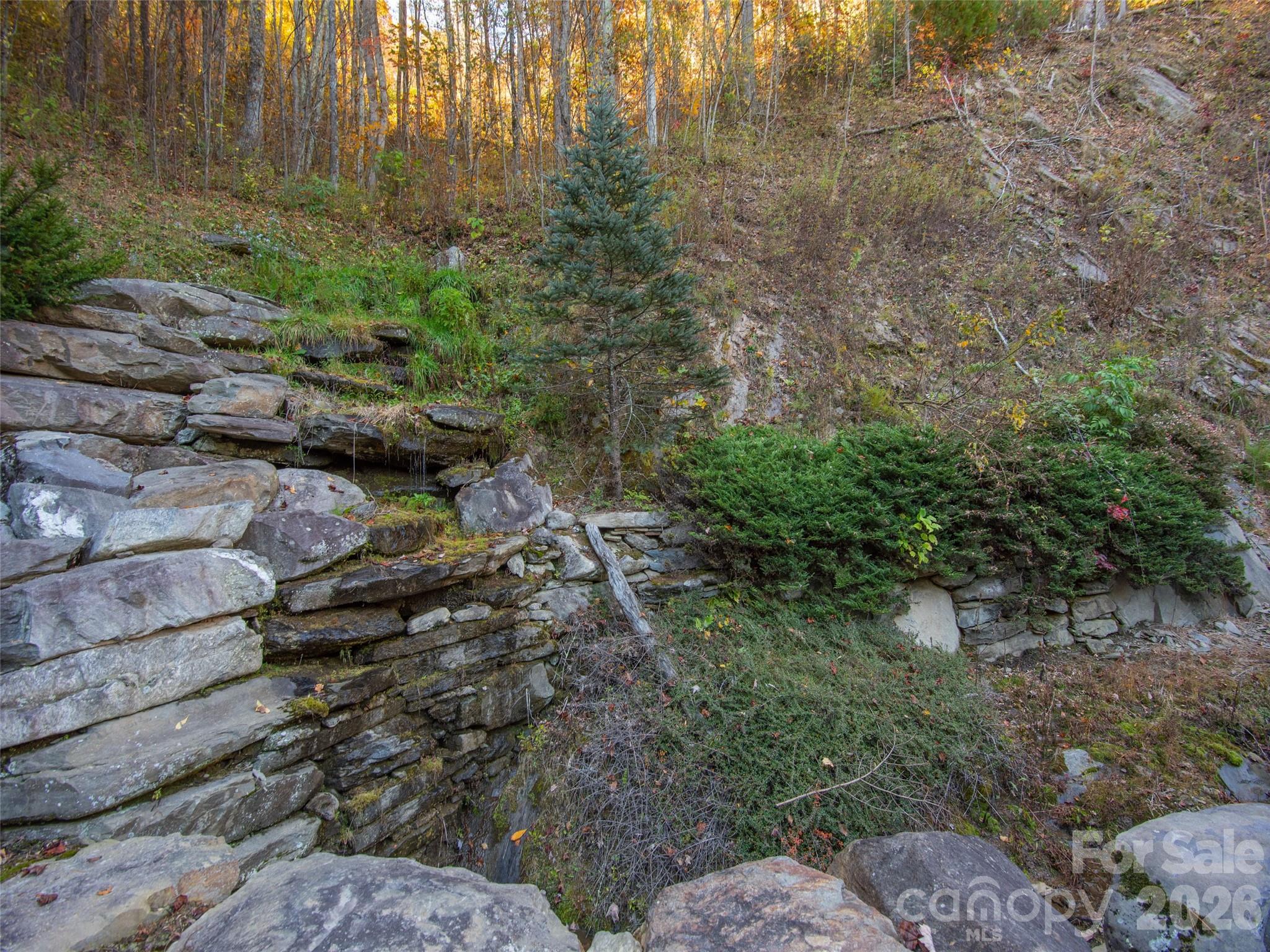 0000 Sigogglin Trail 4 Property Photo 16