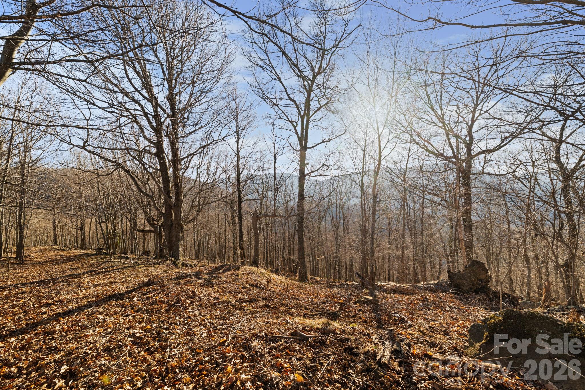 Tbd Lauren Lane 174,175,247,248 Property Photo 8