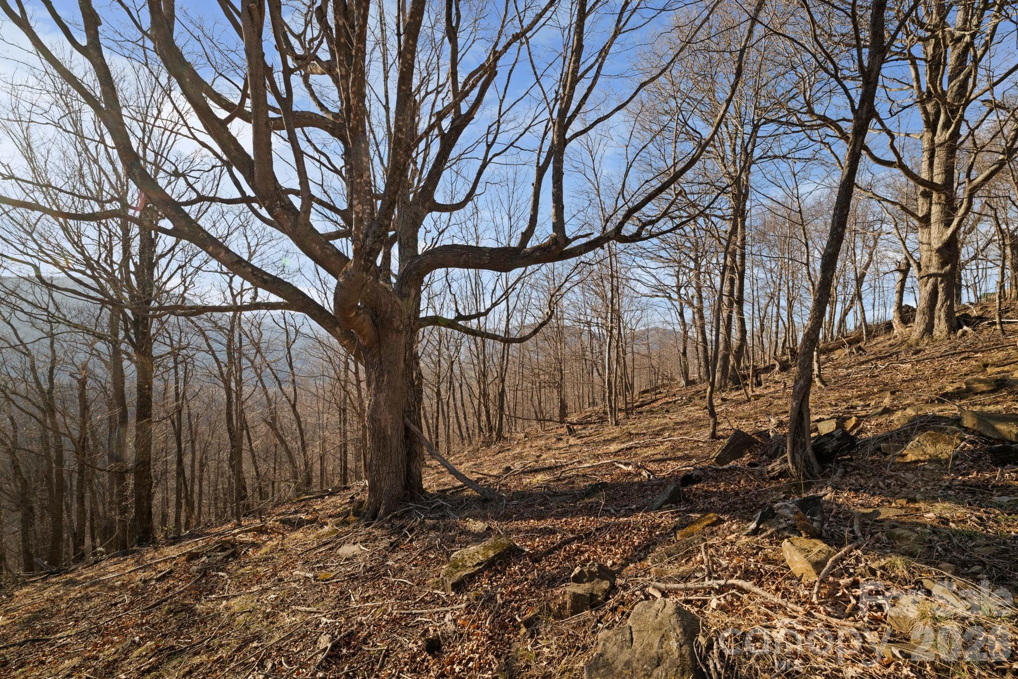 Tbd Lauren Lane 174,175,247,248 Property Photo 10