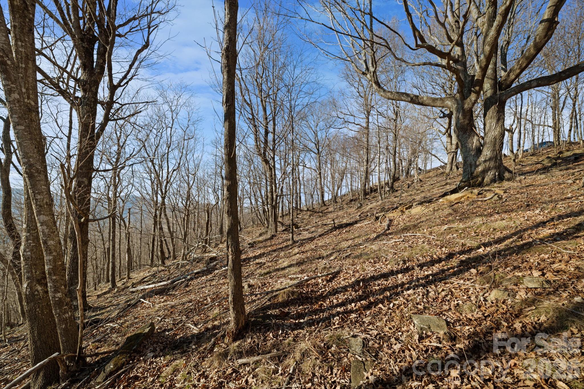 Tbd Lauren Lane 174,175,247,248 Property Photo 11