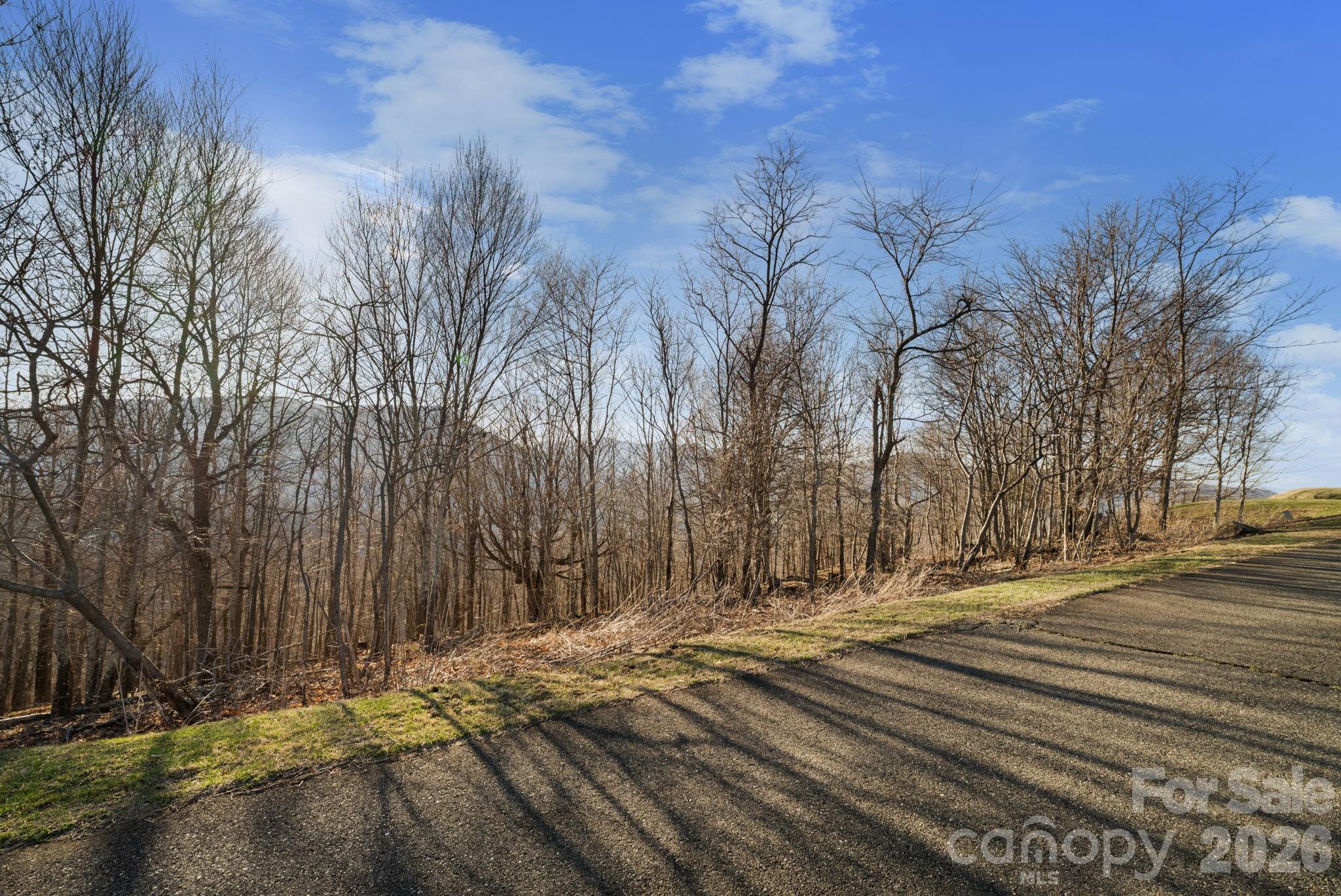 Tbd Lauren Lane 174,175,247,248 Property Photo 12