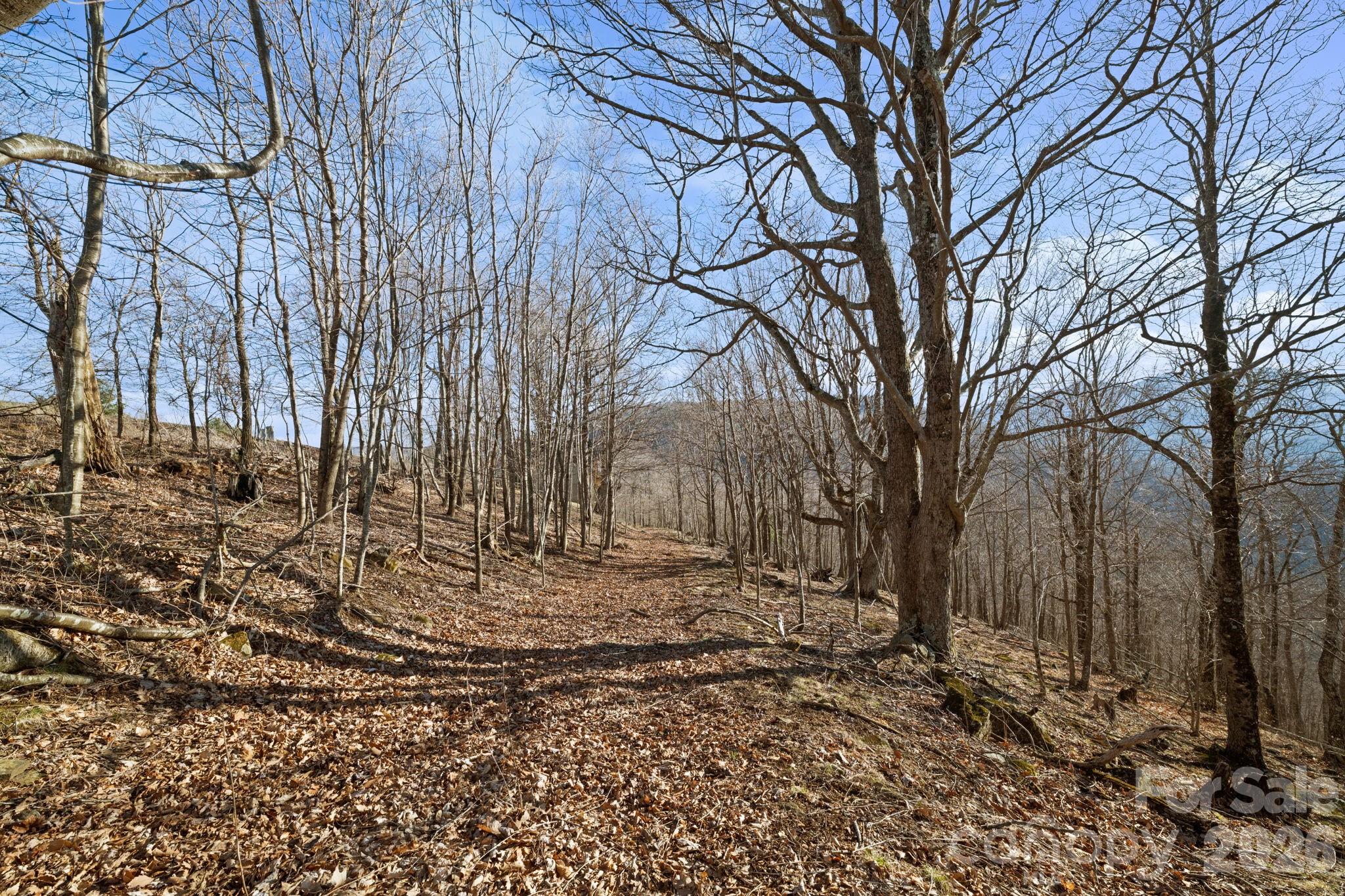 Tbd Lauren Lane 174,175,247,248 Property Photo 13