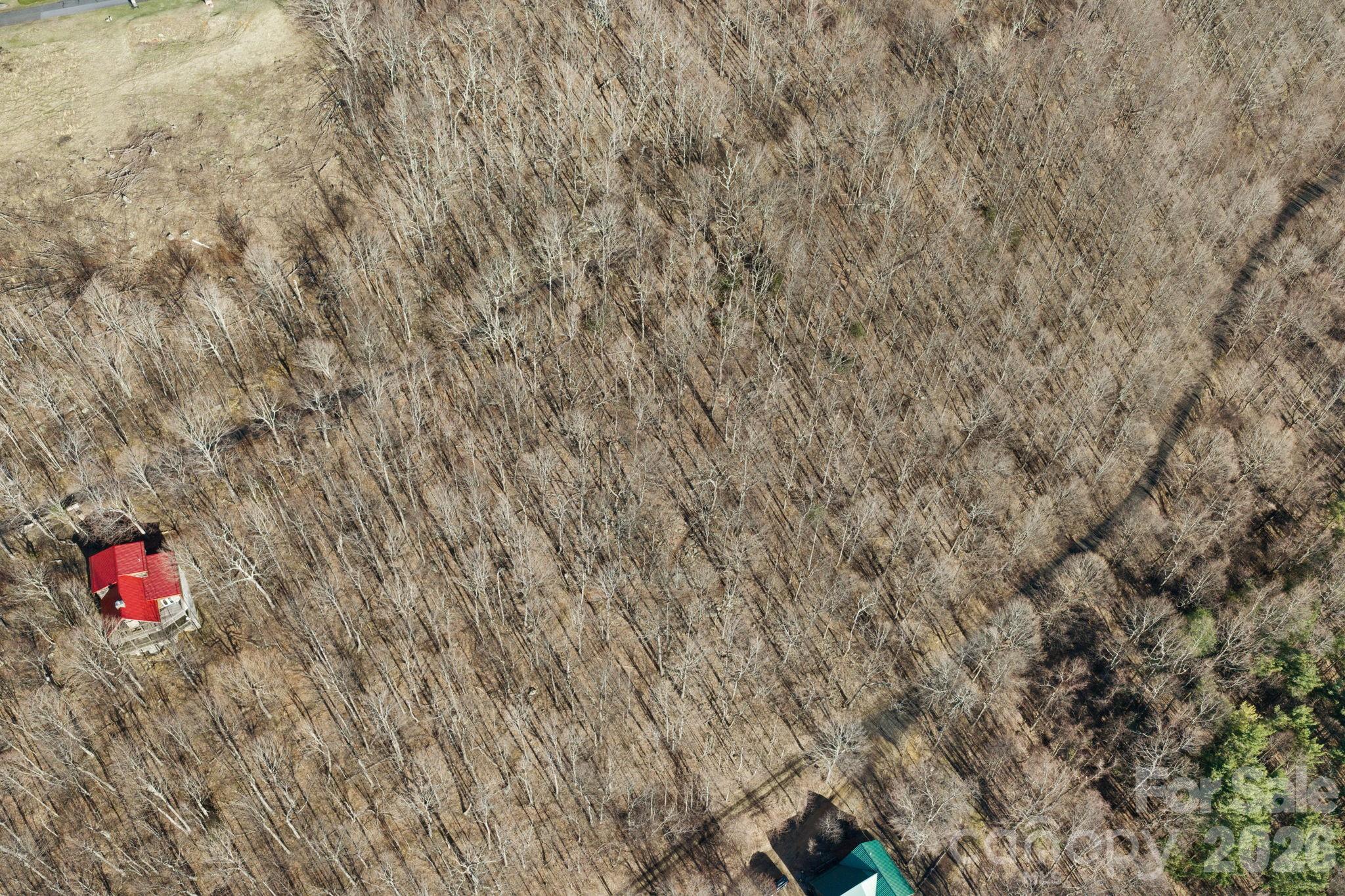 Tbd Lauren Lane 174,175,247,248 Property Photo 19