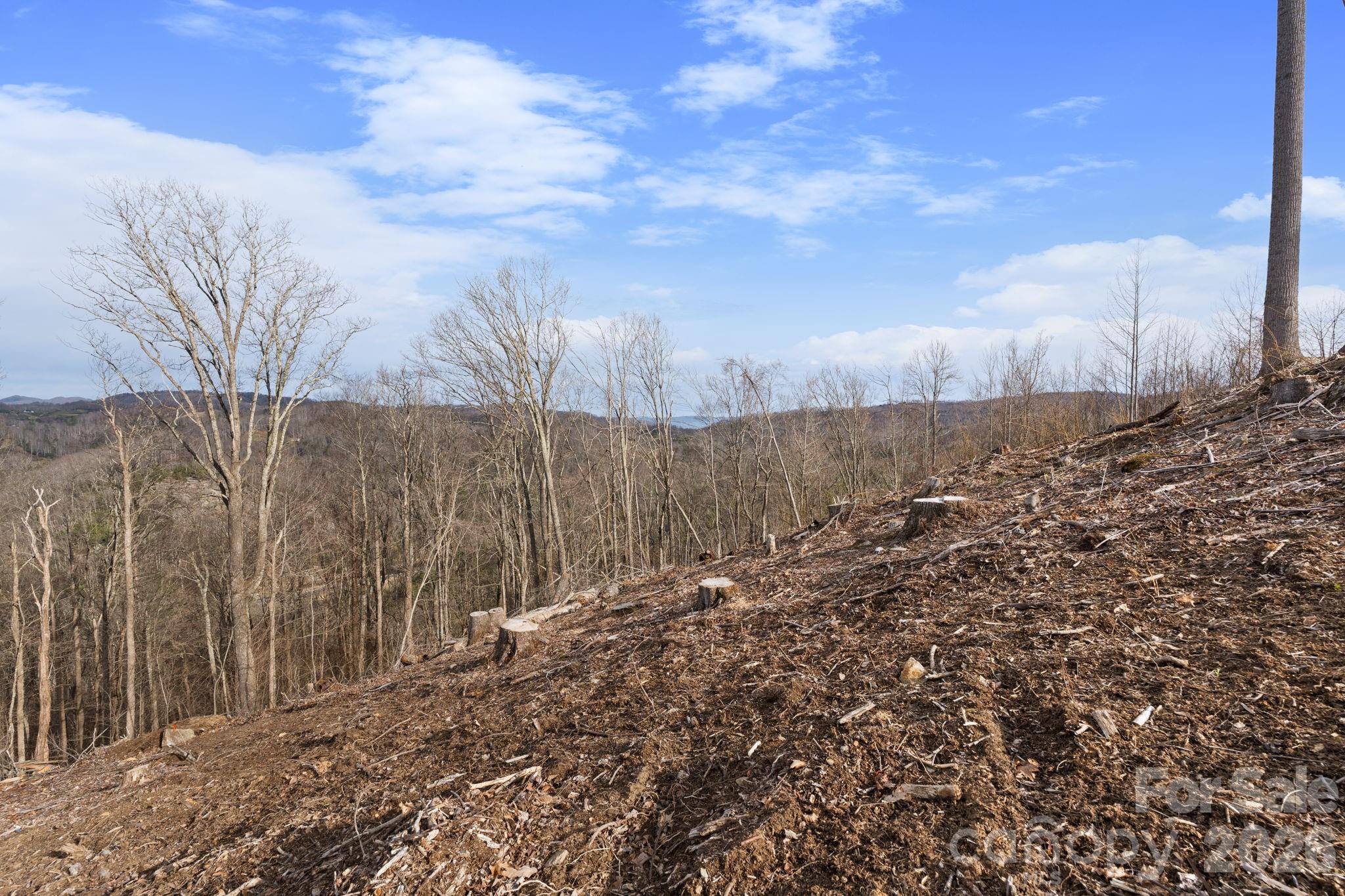 Tbd Pinnacle View Property Photo 3