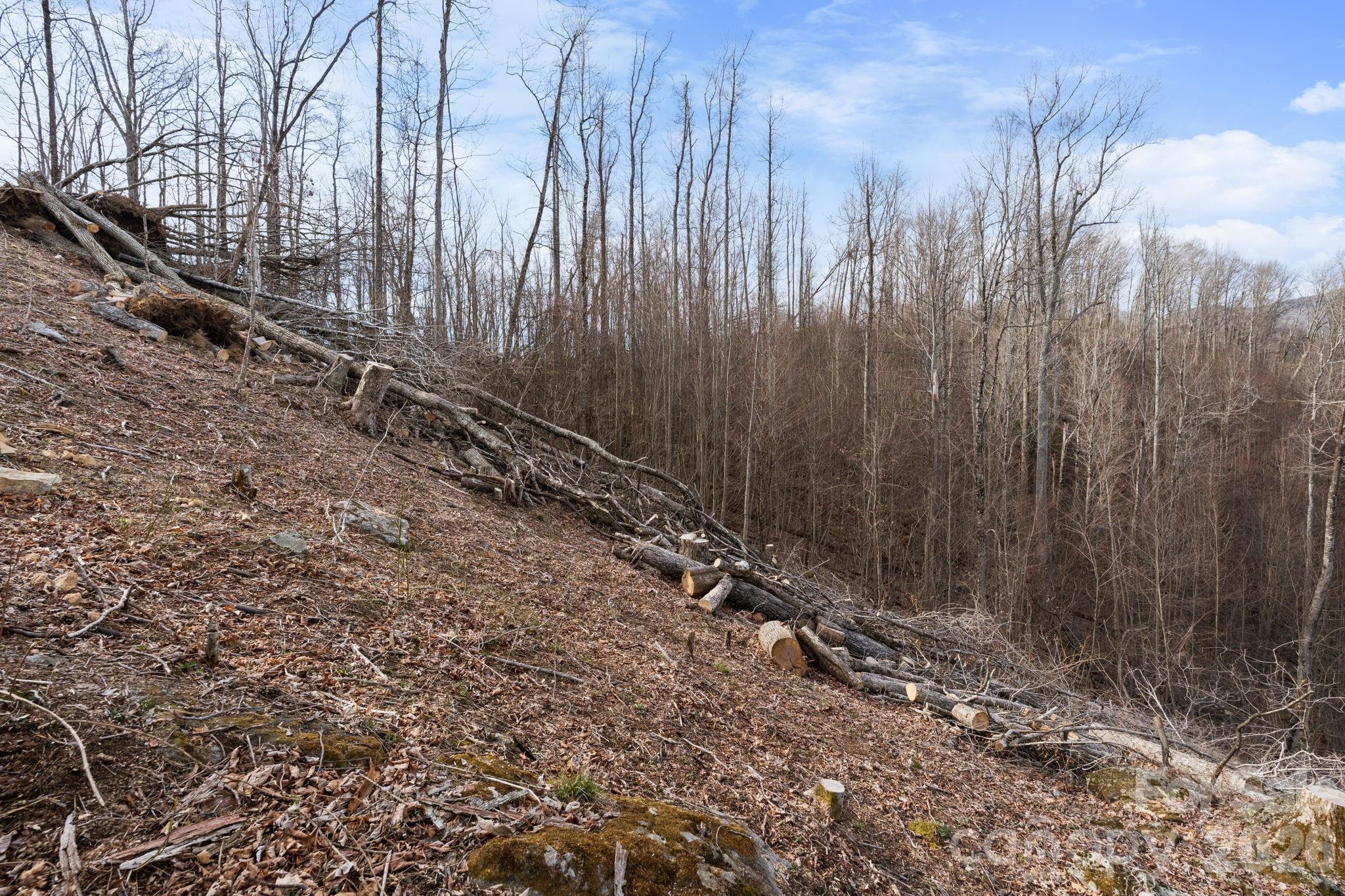 Tbd Pinnacle View Property Photo 4