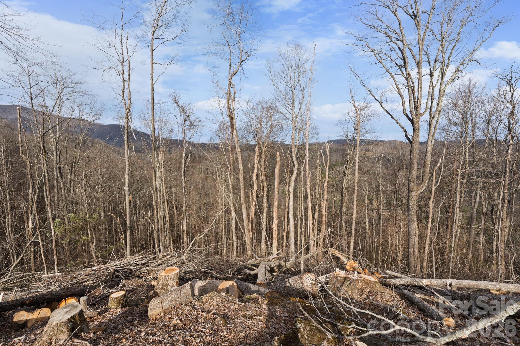 Tbd Pinnacle View Property Photo 5