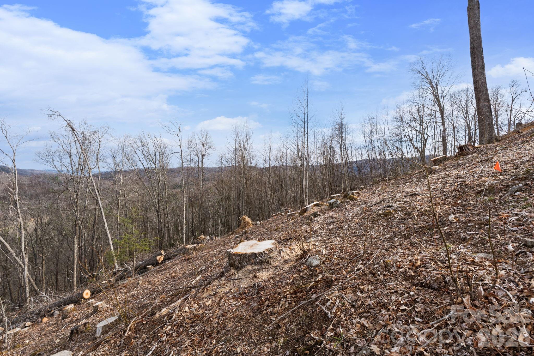 Tbd Pinnacle View Property Photo 7