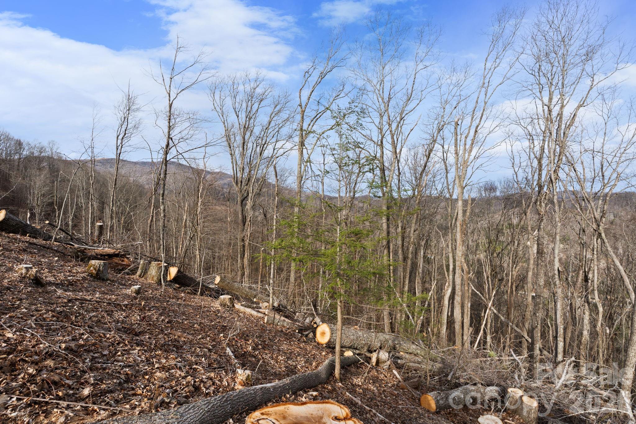 Tbd Pinnacle View Property Photo 8