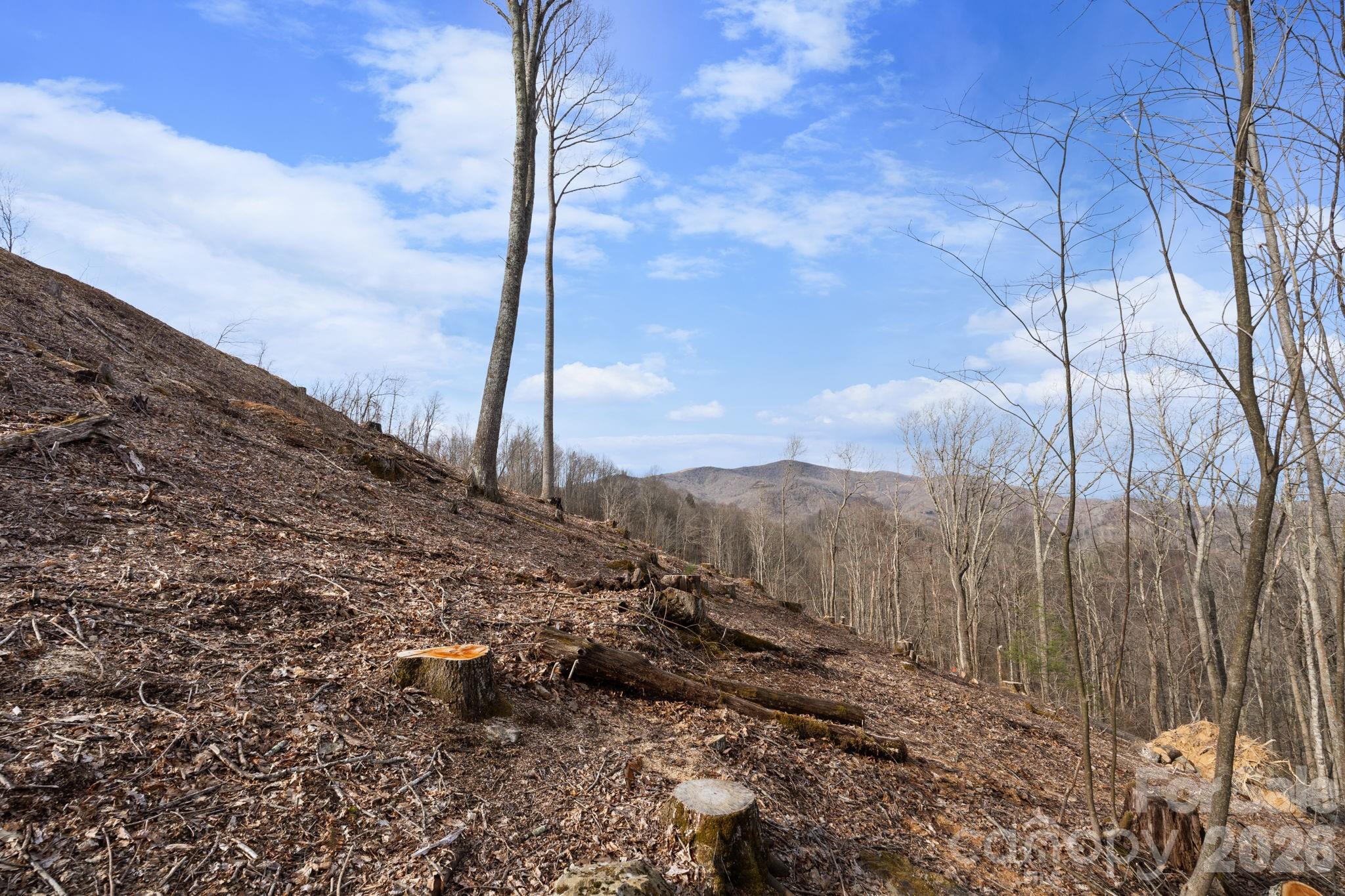 Tbd Pinnacle View Property Photo 9