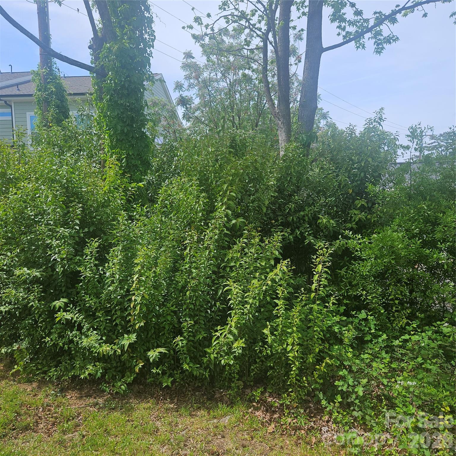 1040 Drummond Avenue Property Photo 7