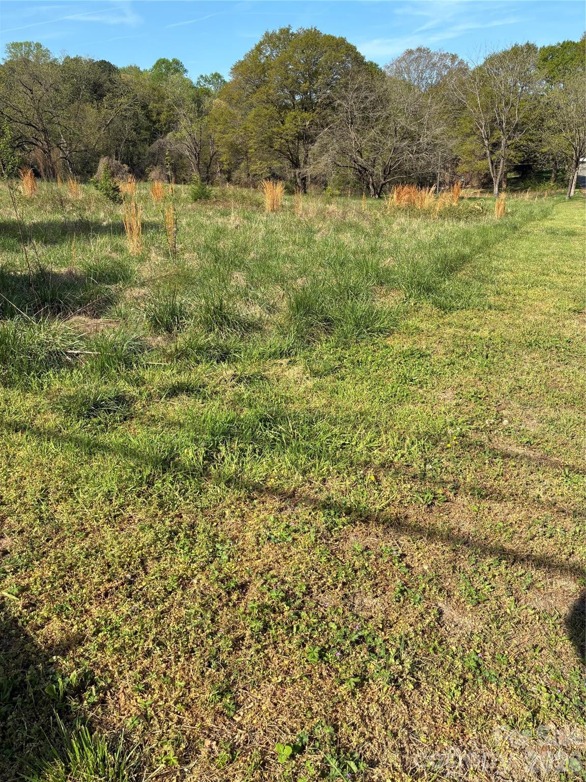 1016 Hamme Lane Property Photo 2