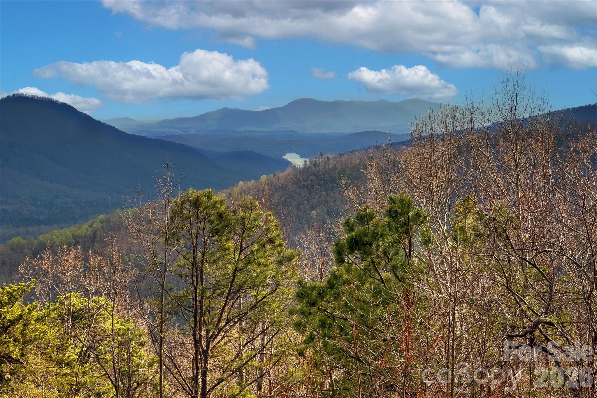 62 Skyline Drive Property Photo 23