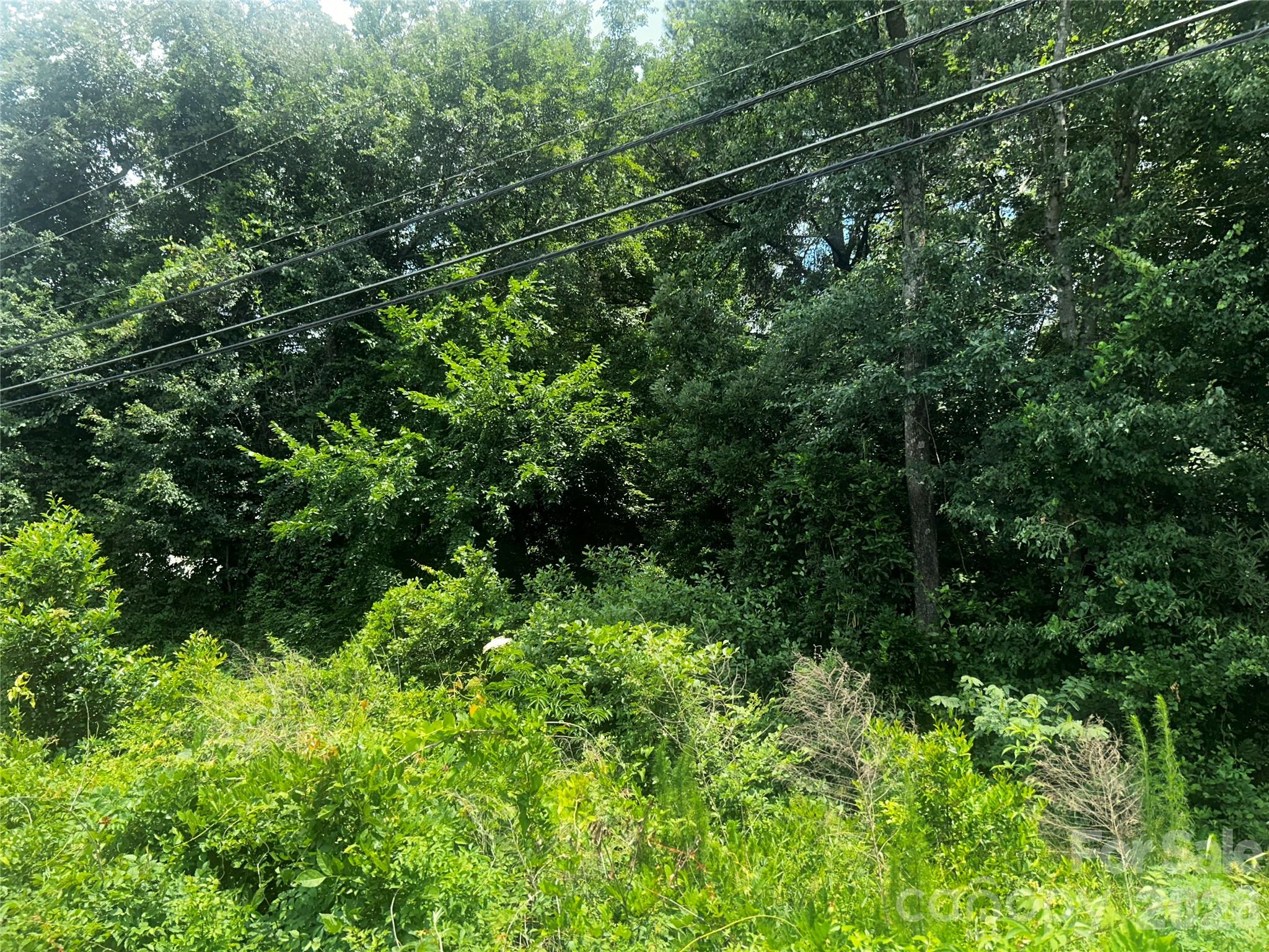 00 Frink Street Property Photo 7