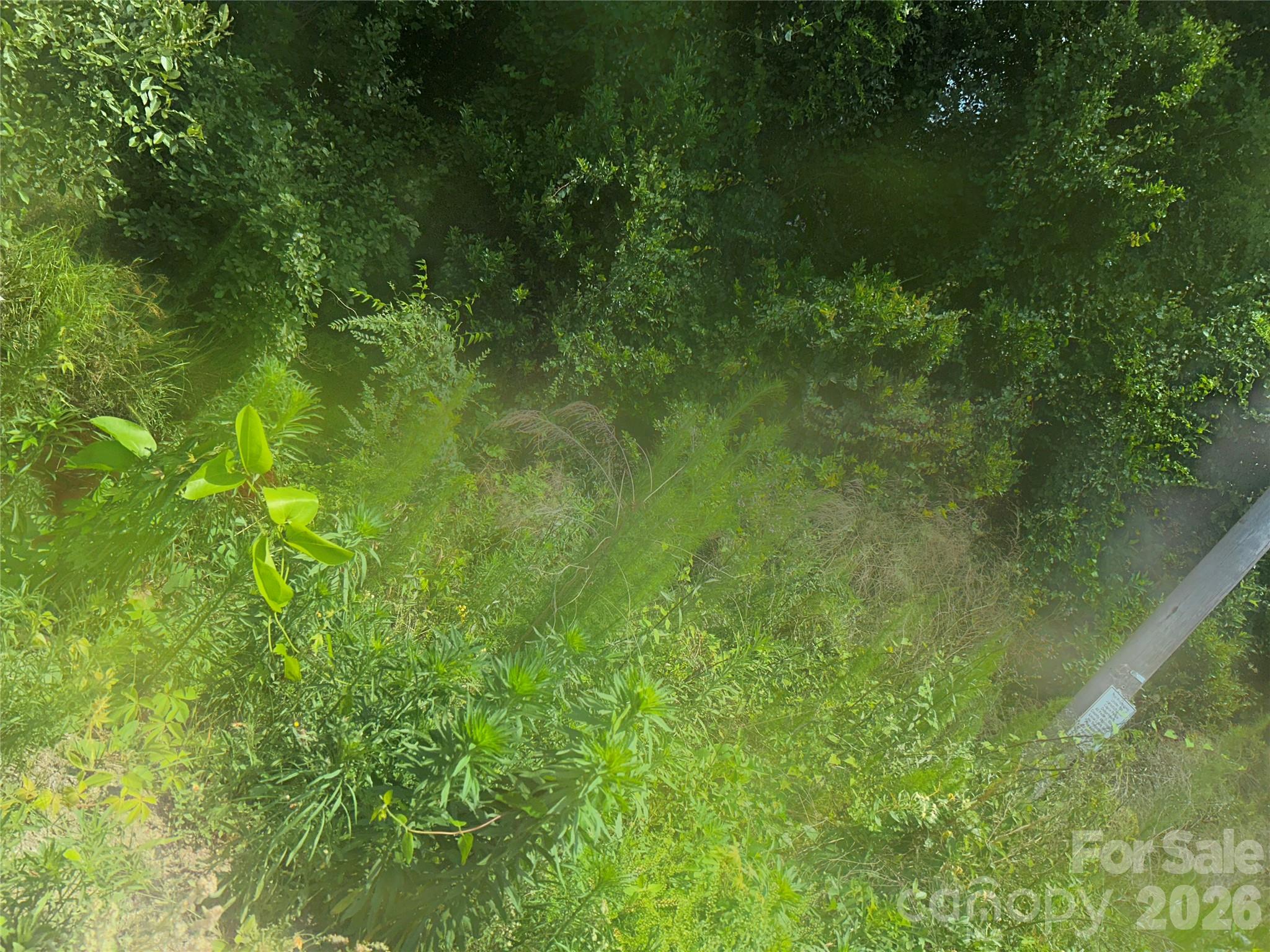 00 Frink Street Property Photo 8