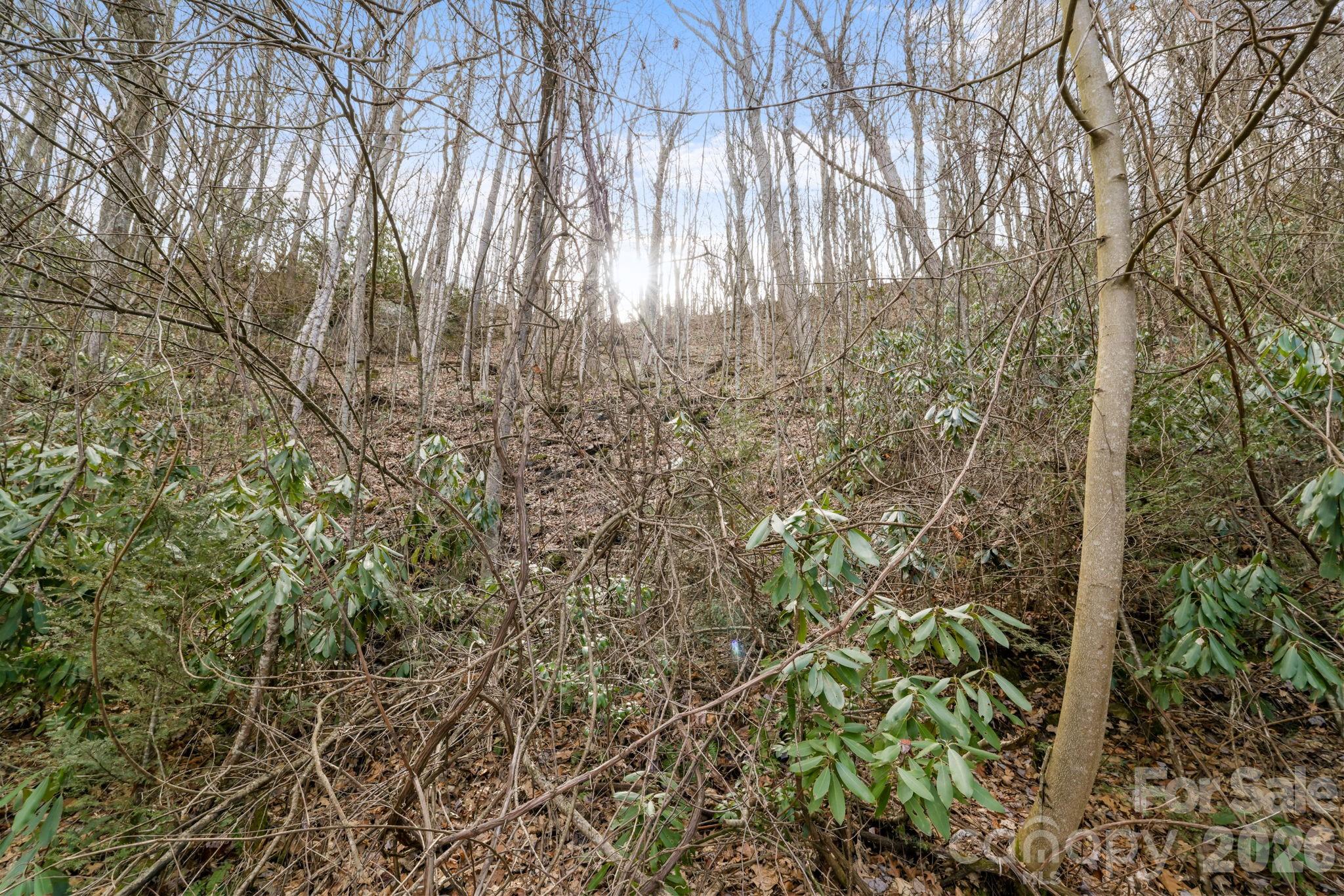00 Forest Drive 14 Property Photo 3