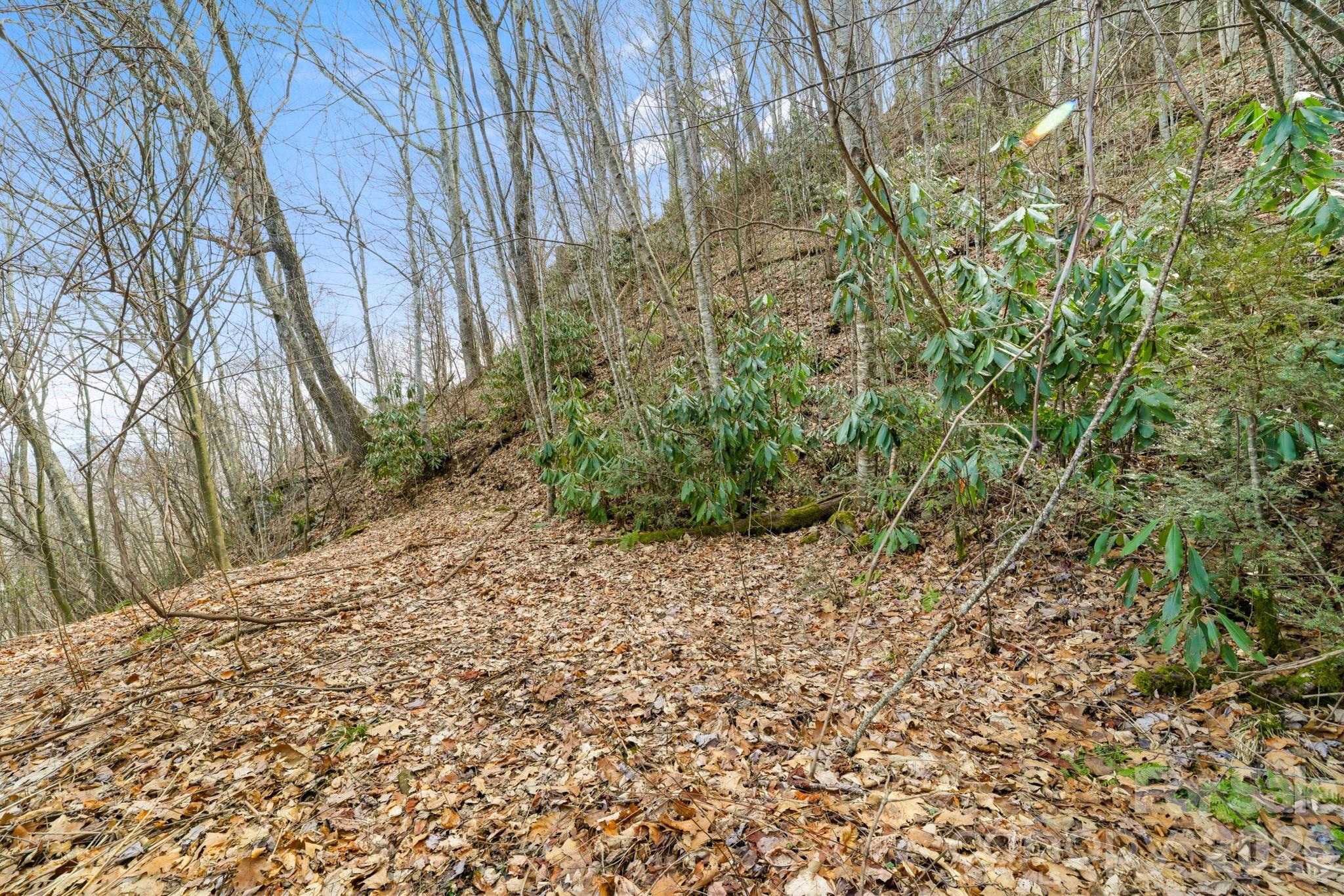 00 Forest Drive 14 Property Photo 4