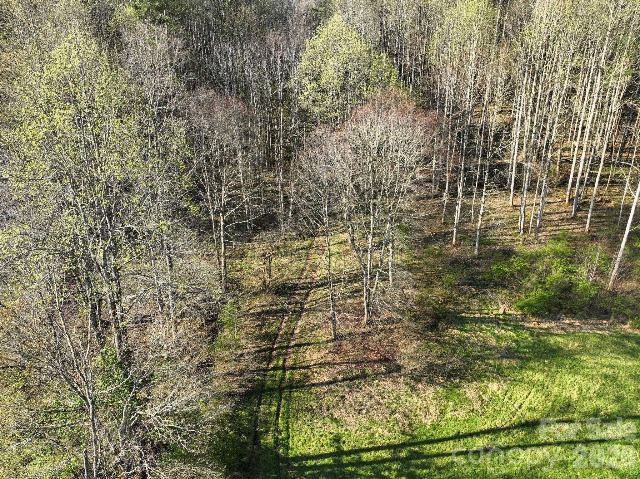3041 Bald Mountain Road Property Photo 27