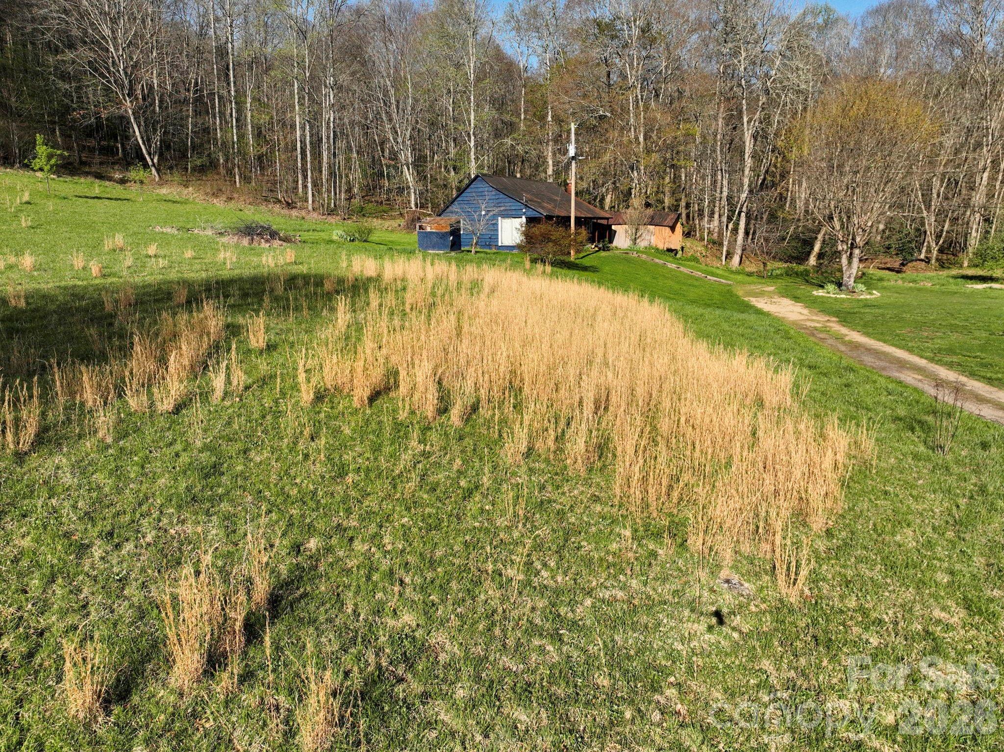 3041 Bald Mountain Road Property Photo 28