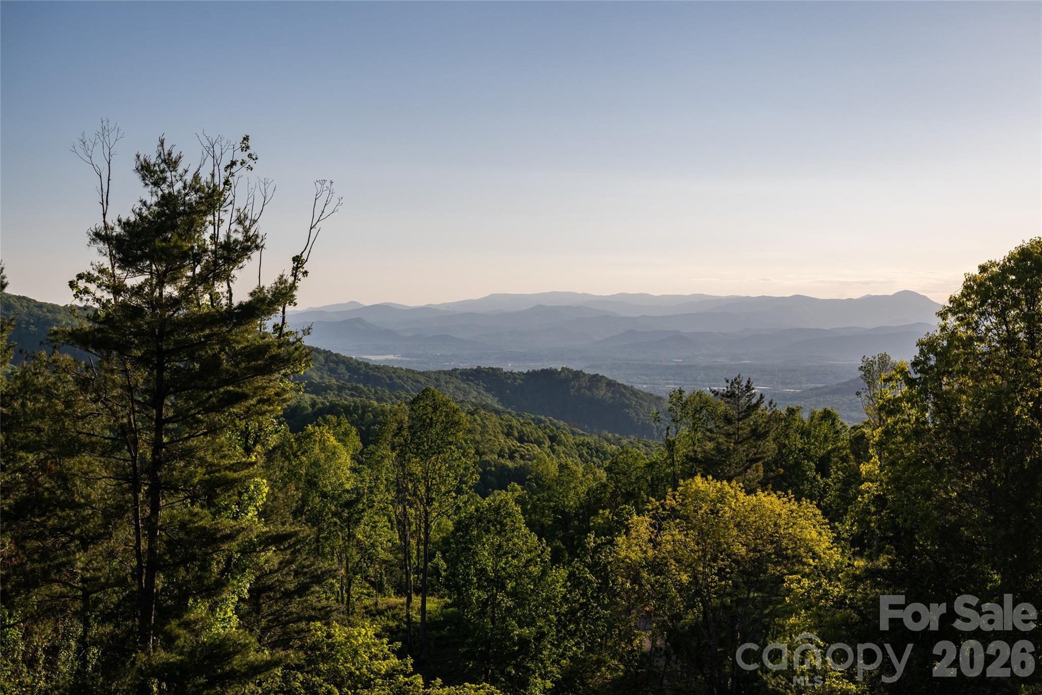 31 Bear Tree Court Property Photo 7