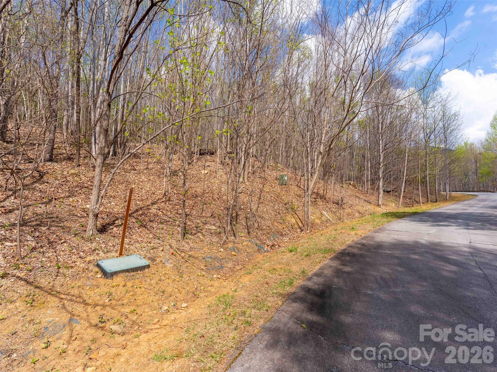 Lot 196 Cherry Hill 196 Property Photo 1
