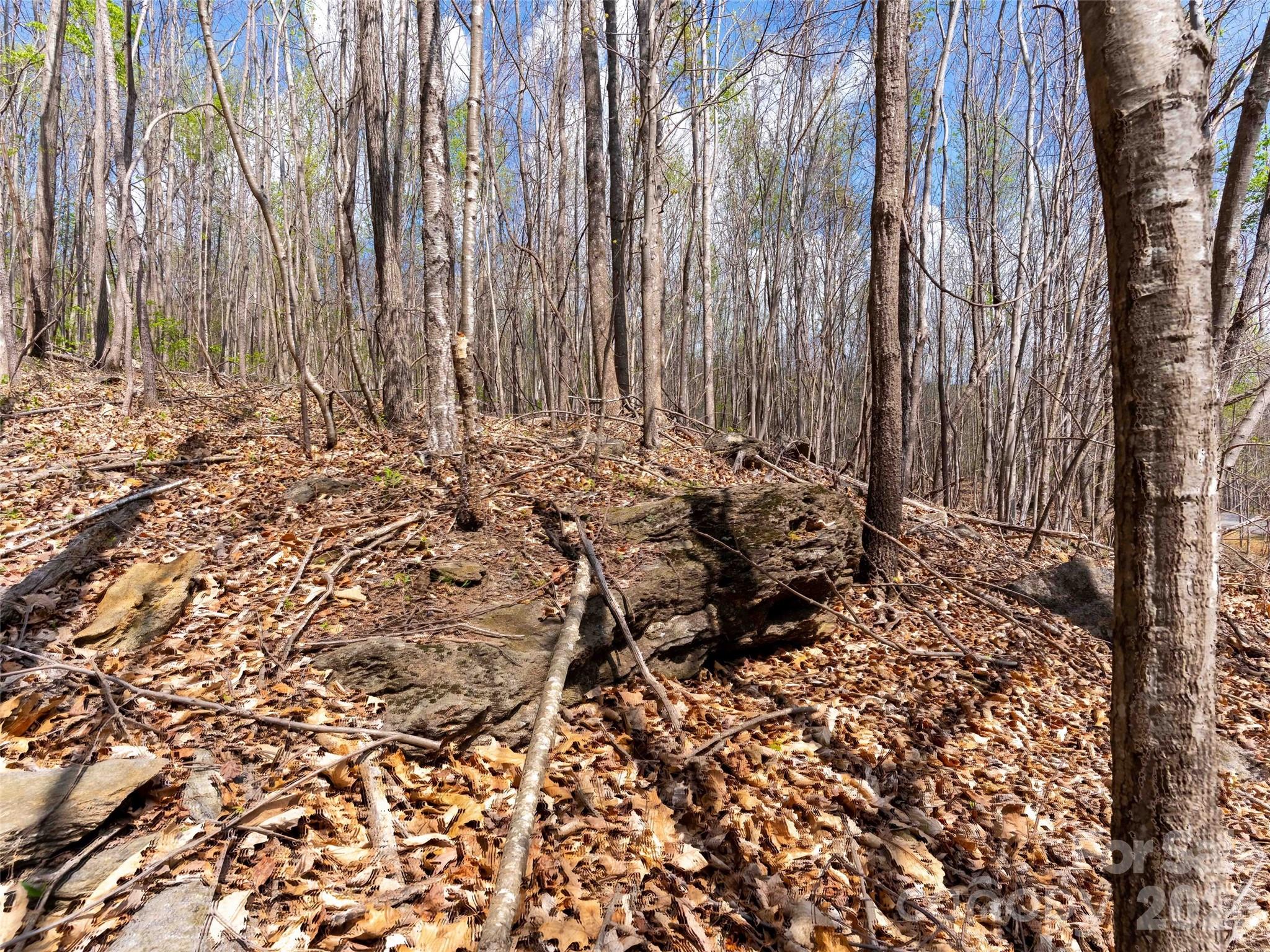 Lot 196 Cherry Hill 196 Property Photo 2