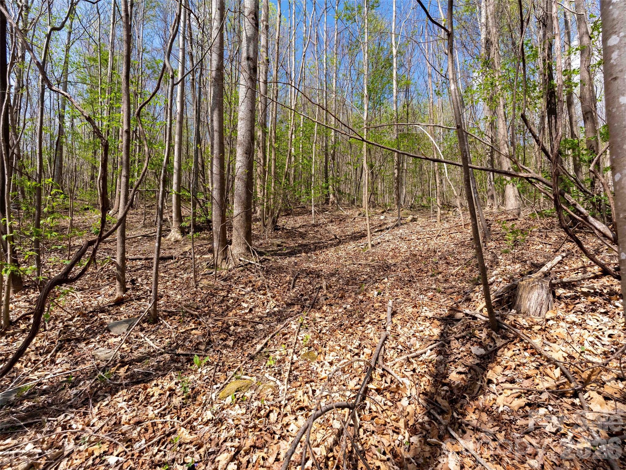 Lot 196 Cherry Hill 196 Property Photo 3