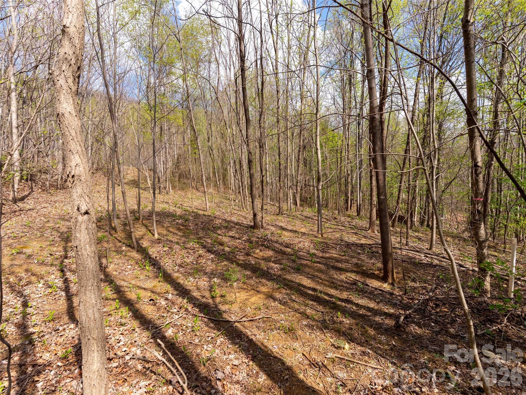 Lot 196 Cherry Hill 196 Property Photo 4