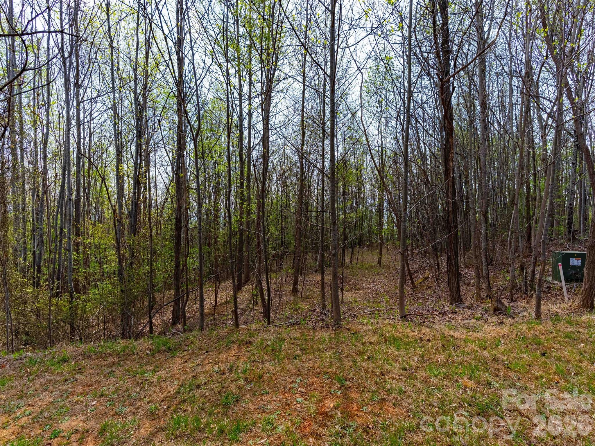 Lot 196 Cherry Hill 196 Property Photo 5