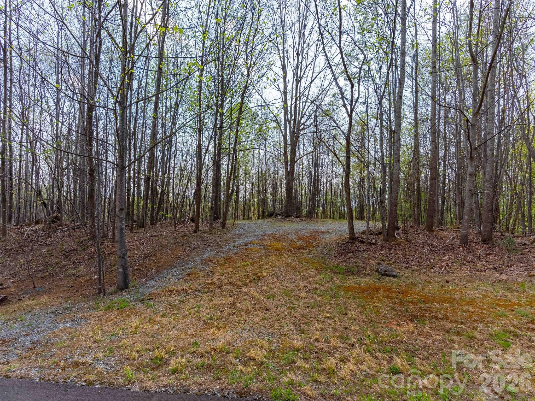 Lot 196 Cherry Hill 196 Property Photo 6